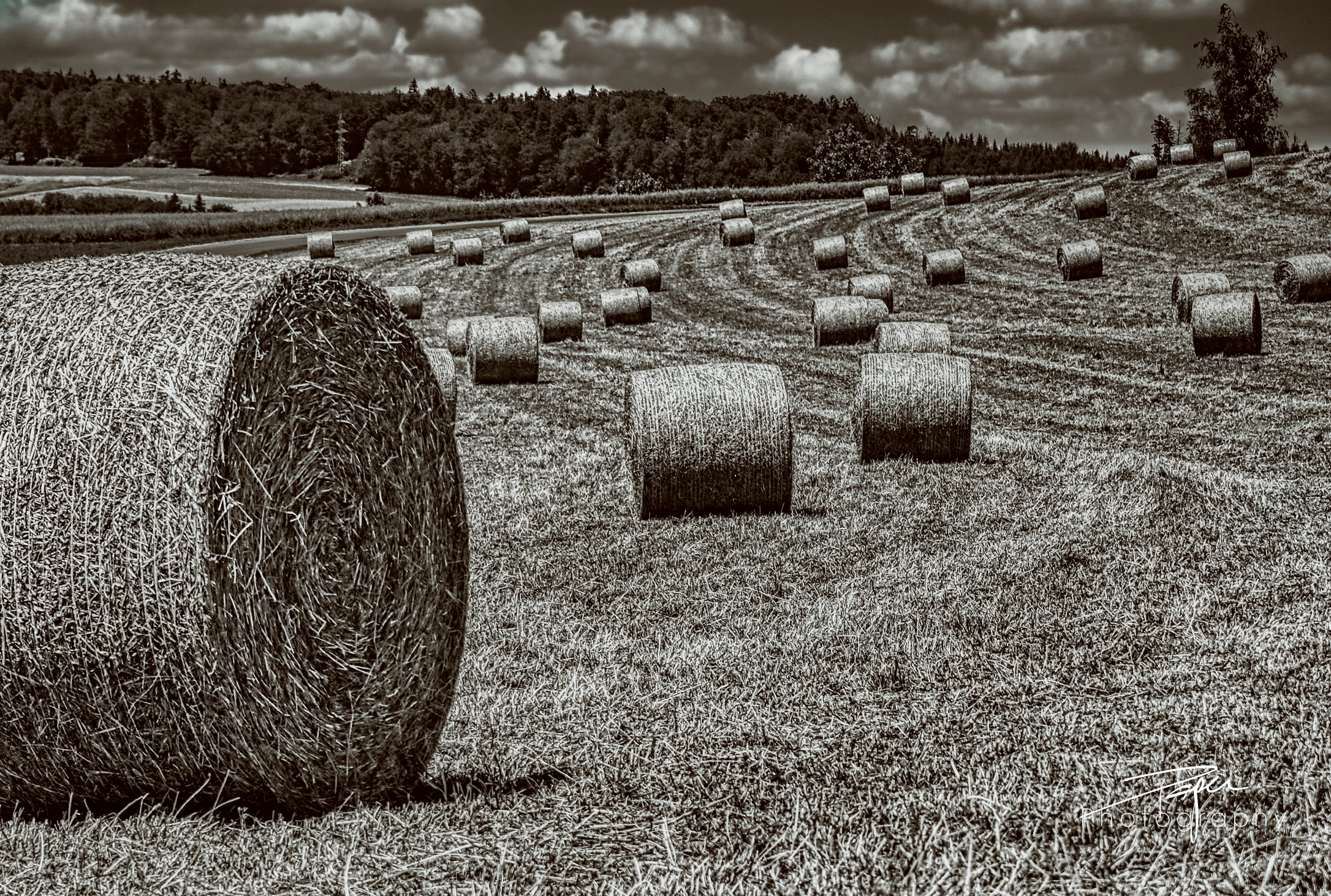 15.06.2021 - Heuernte