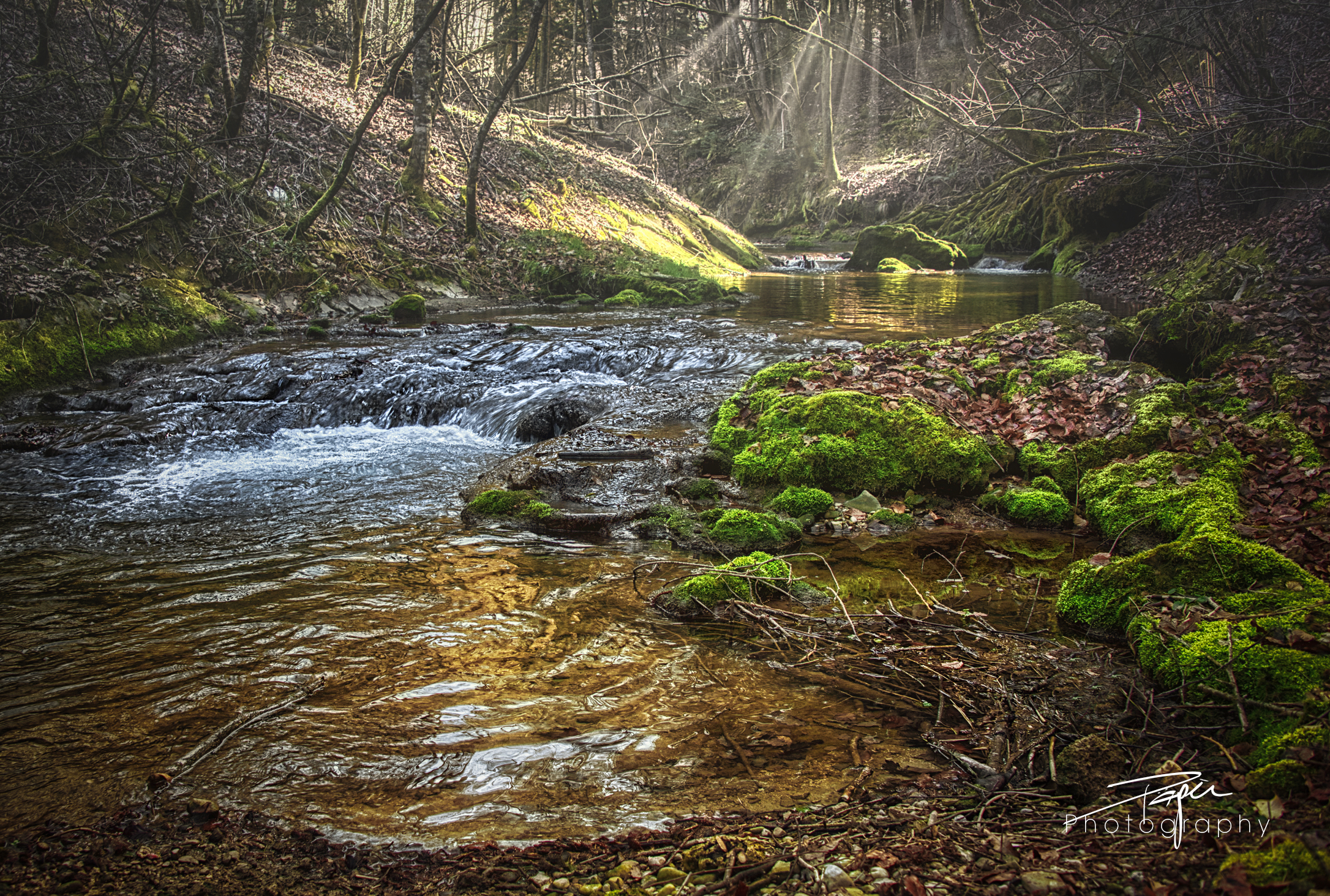02.03.2021 - Düdinger-Bach