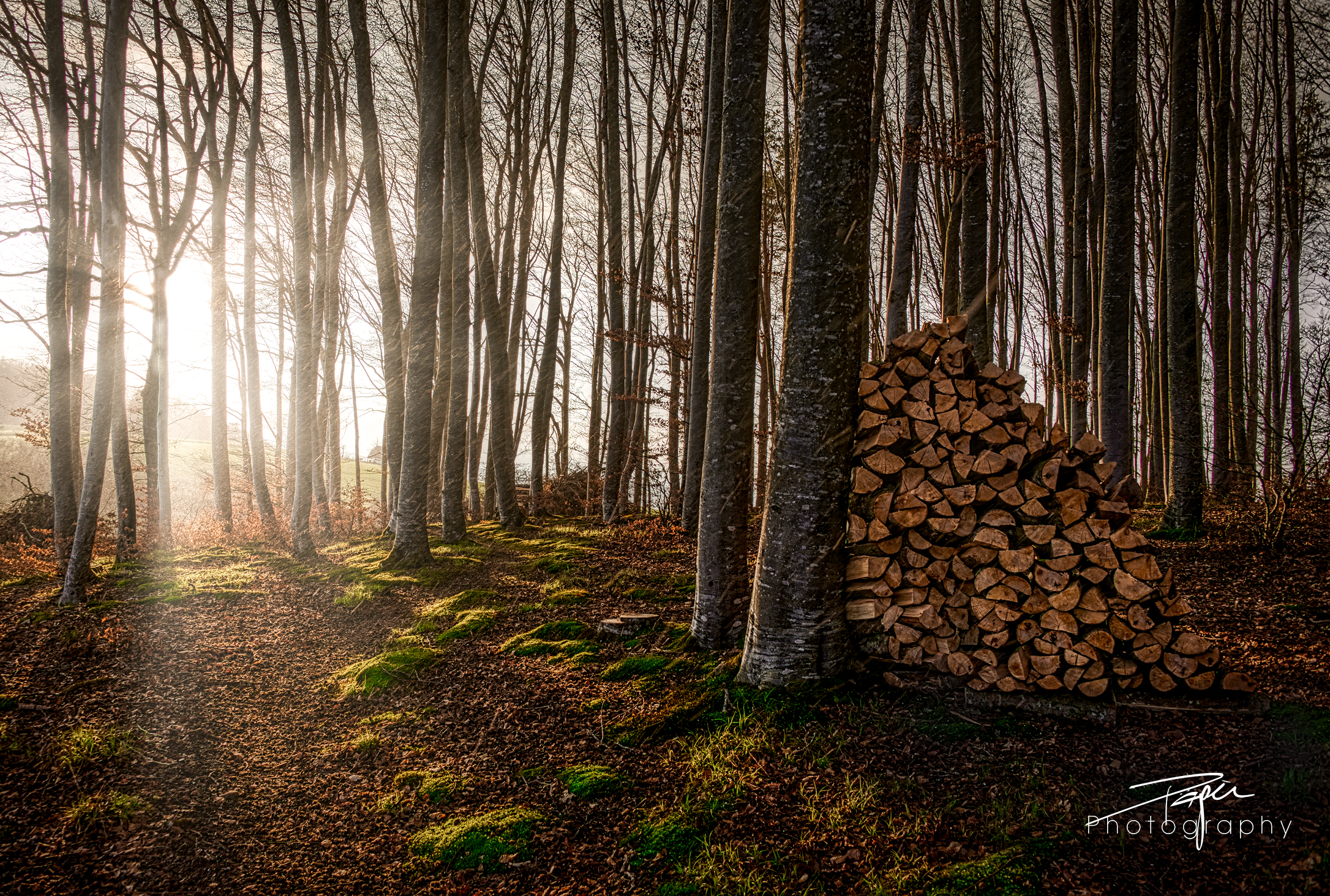 19.03.2021 - Abendsonne