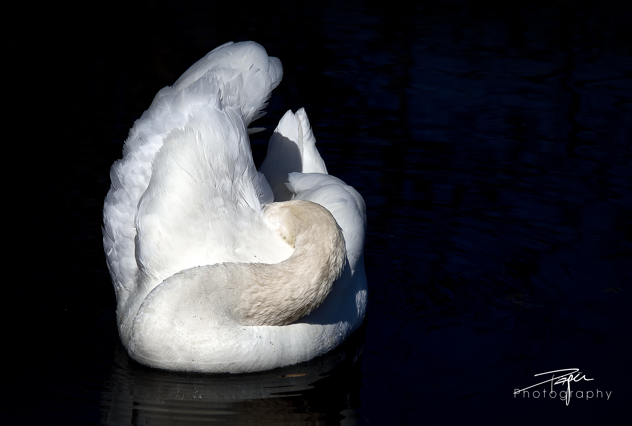 30.03.2021 - Federbett