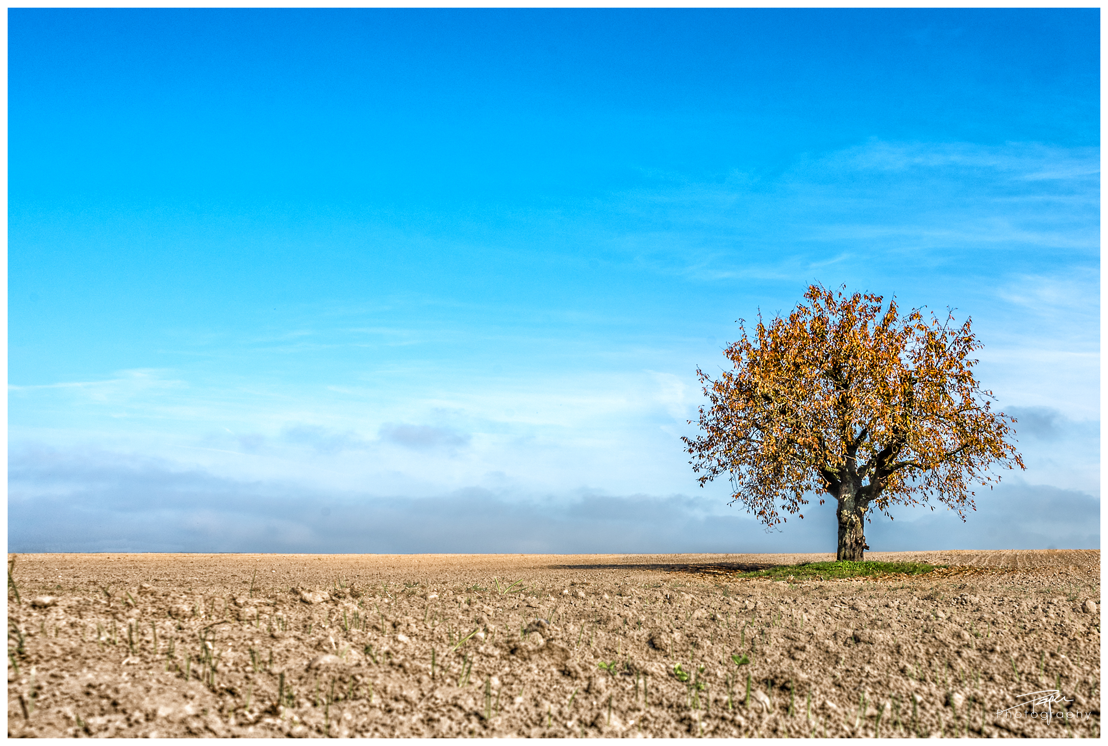 29.10.2021 - Alleinstehend