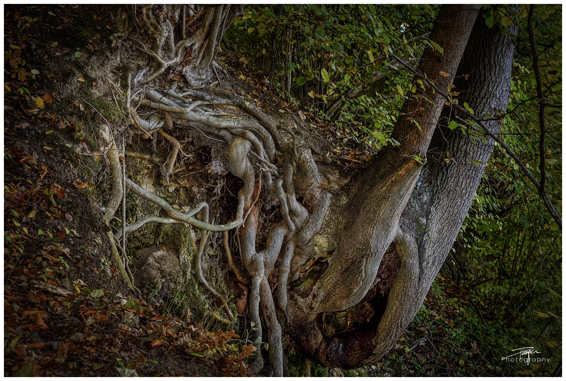 29.10.2021 - back to the roots