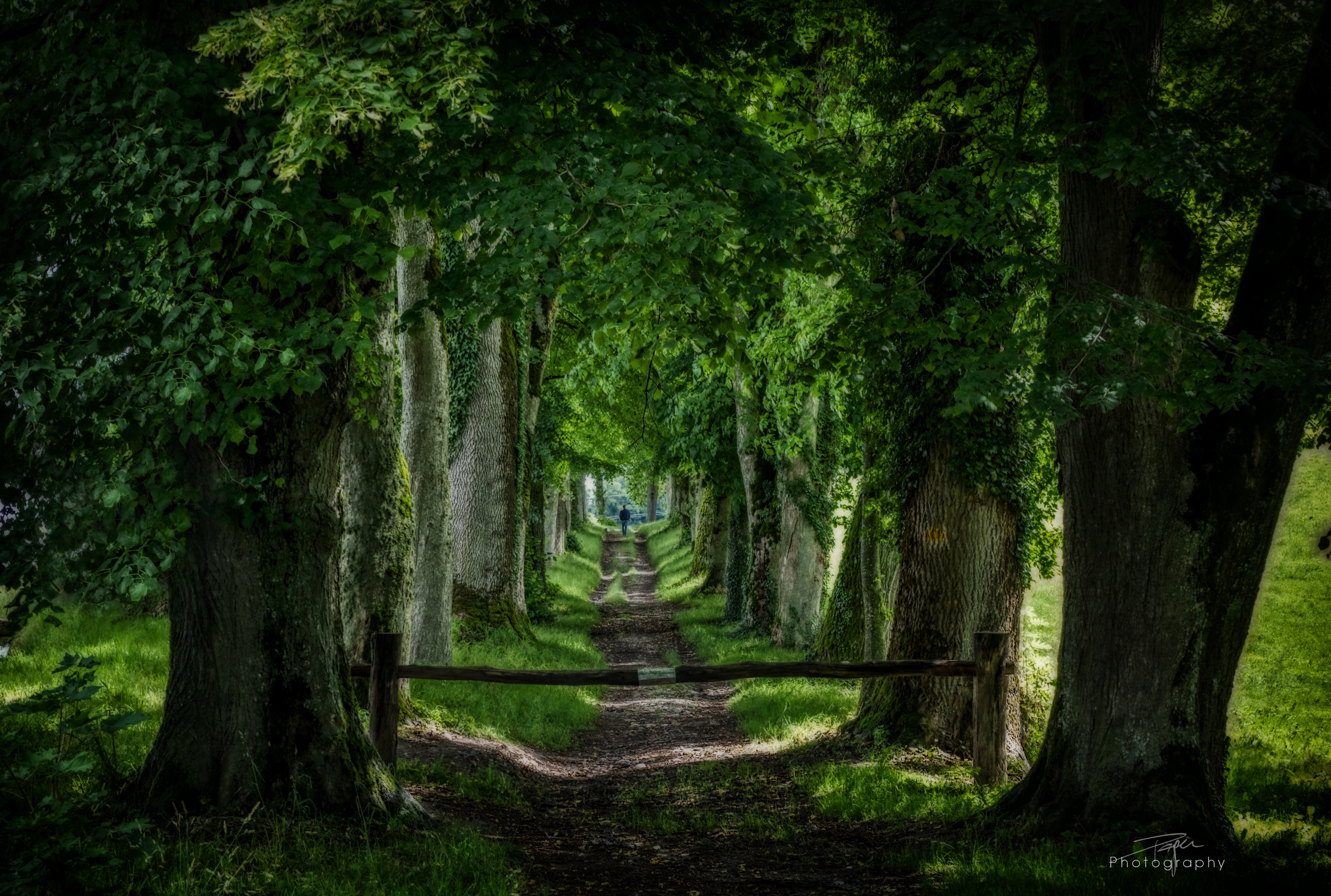 08.07.2021 - Gandfey