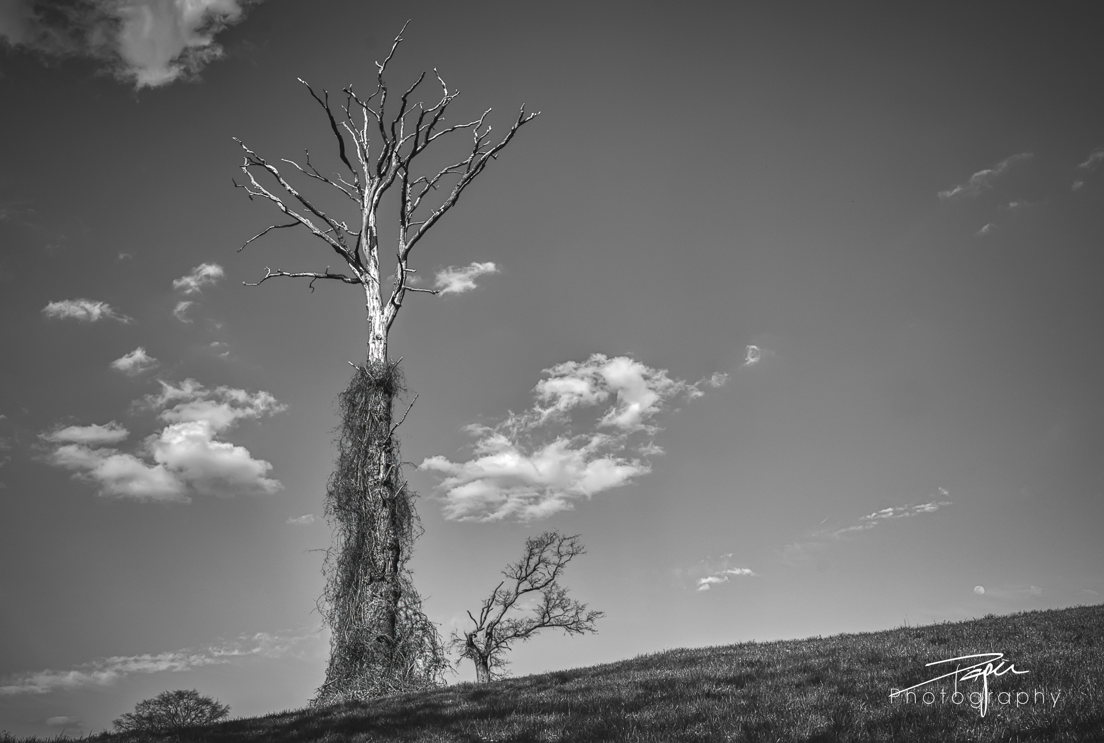 25.03.2021 - Totenhemd