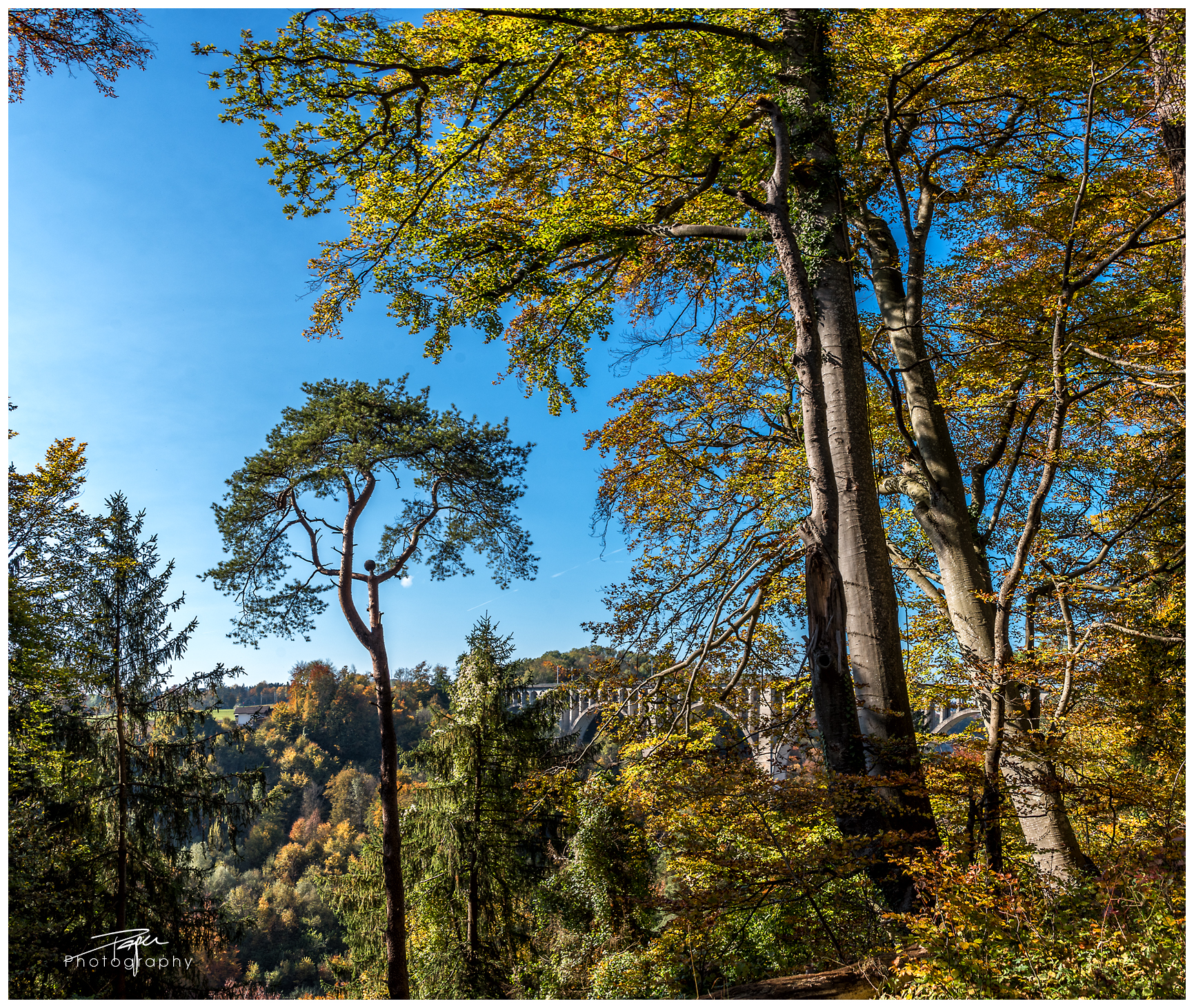 25.10.2021 - Herbstwanderung