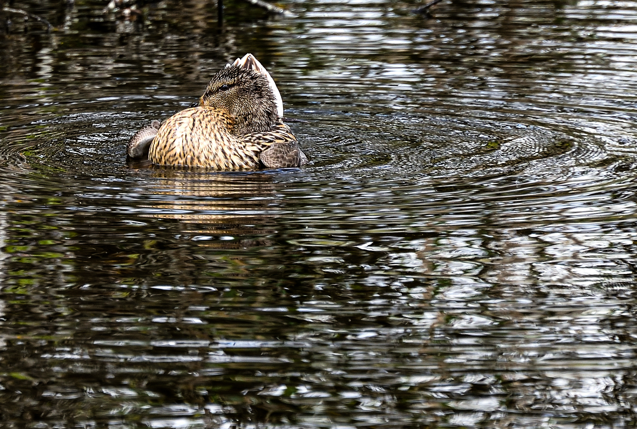 18.05.2021 - Was ist das