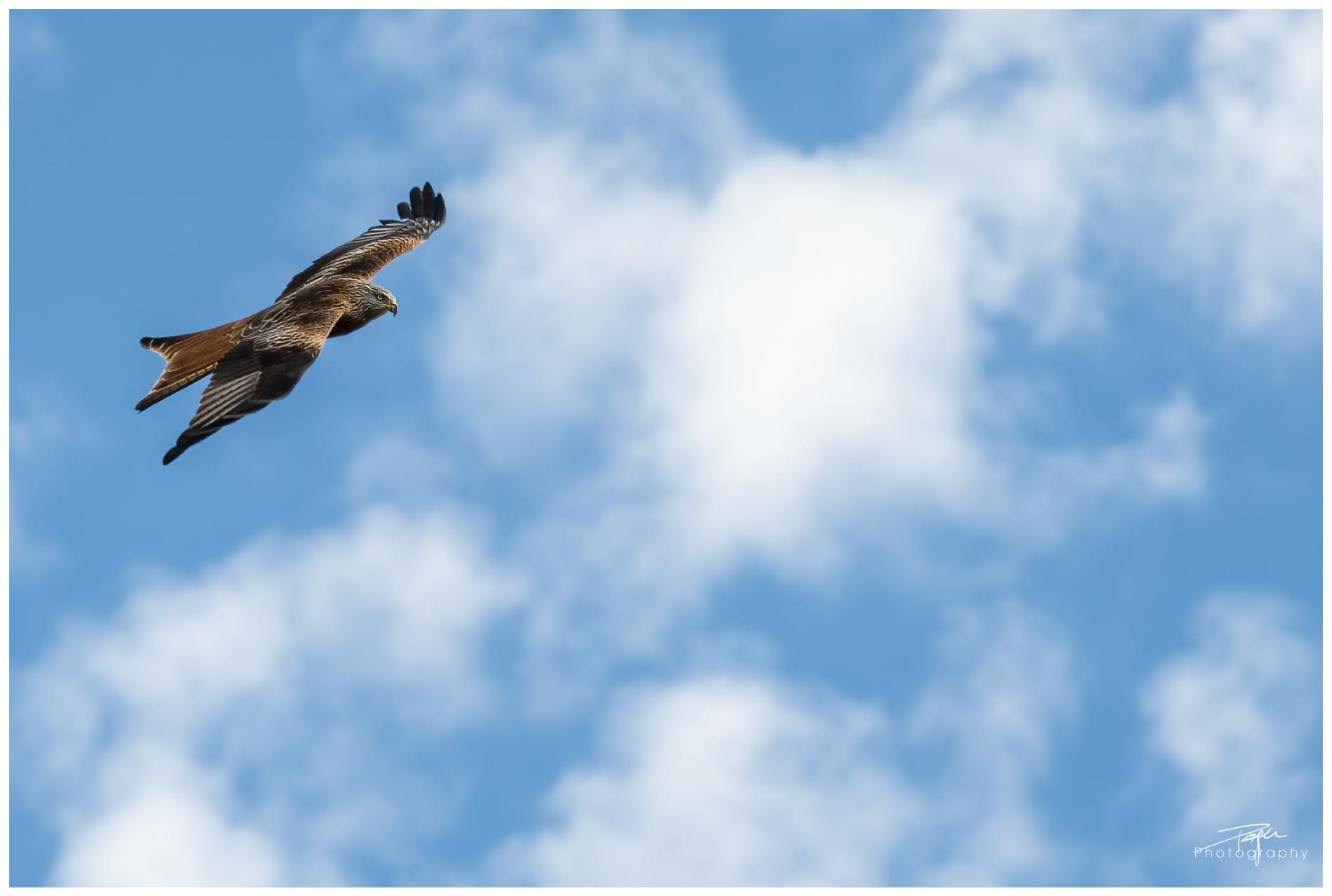 18.02.2022 - Düdingen, Rütihubel