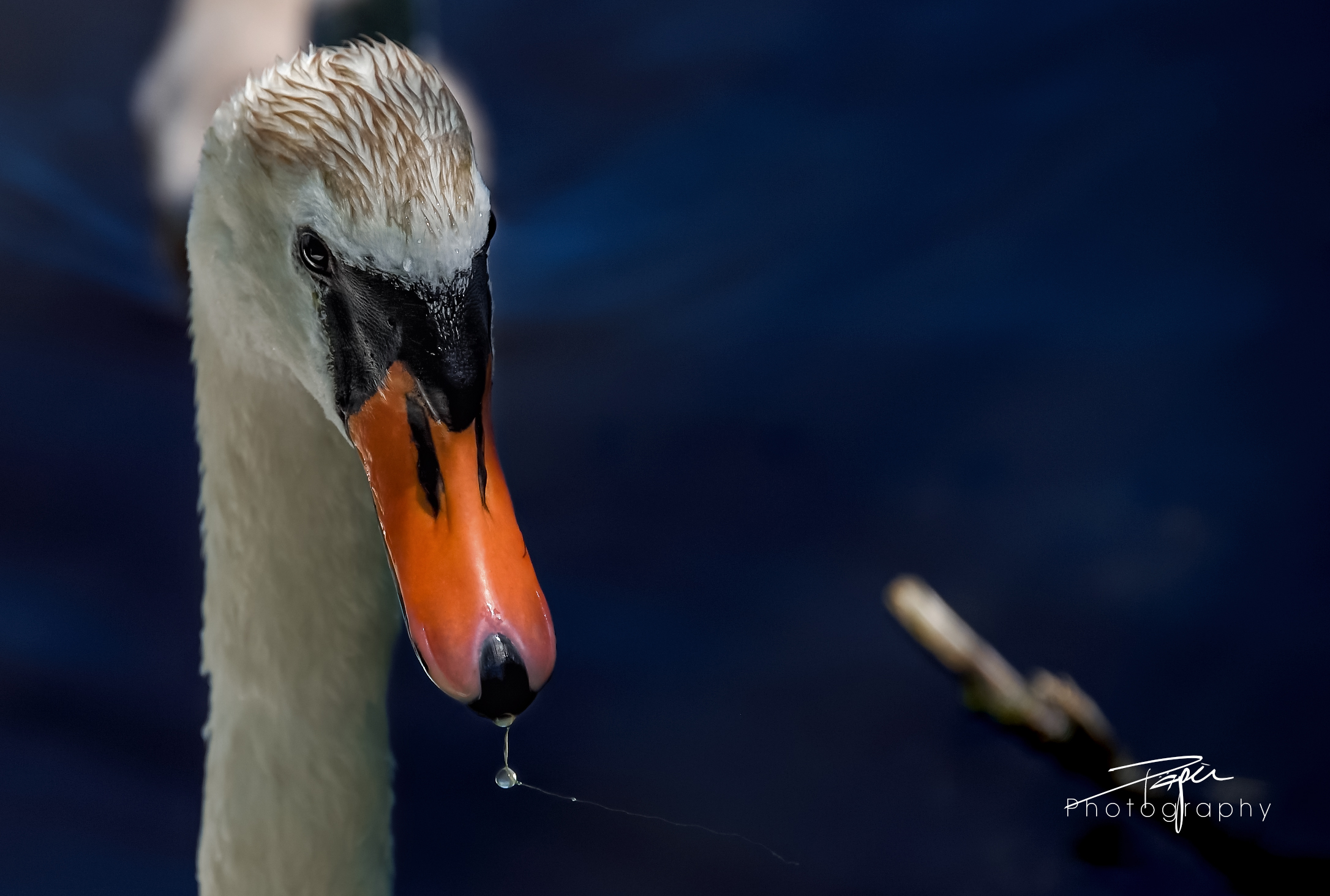 15.06.2021 - Düdinger-Moos