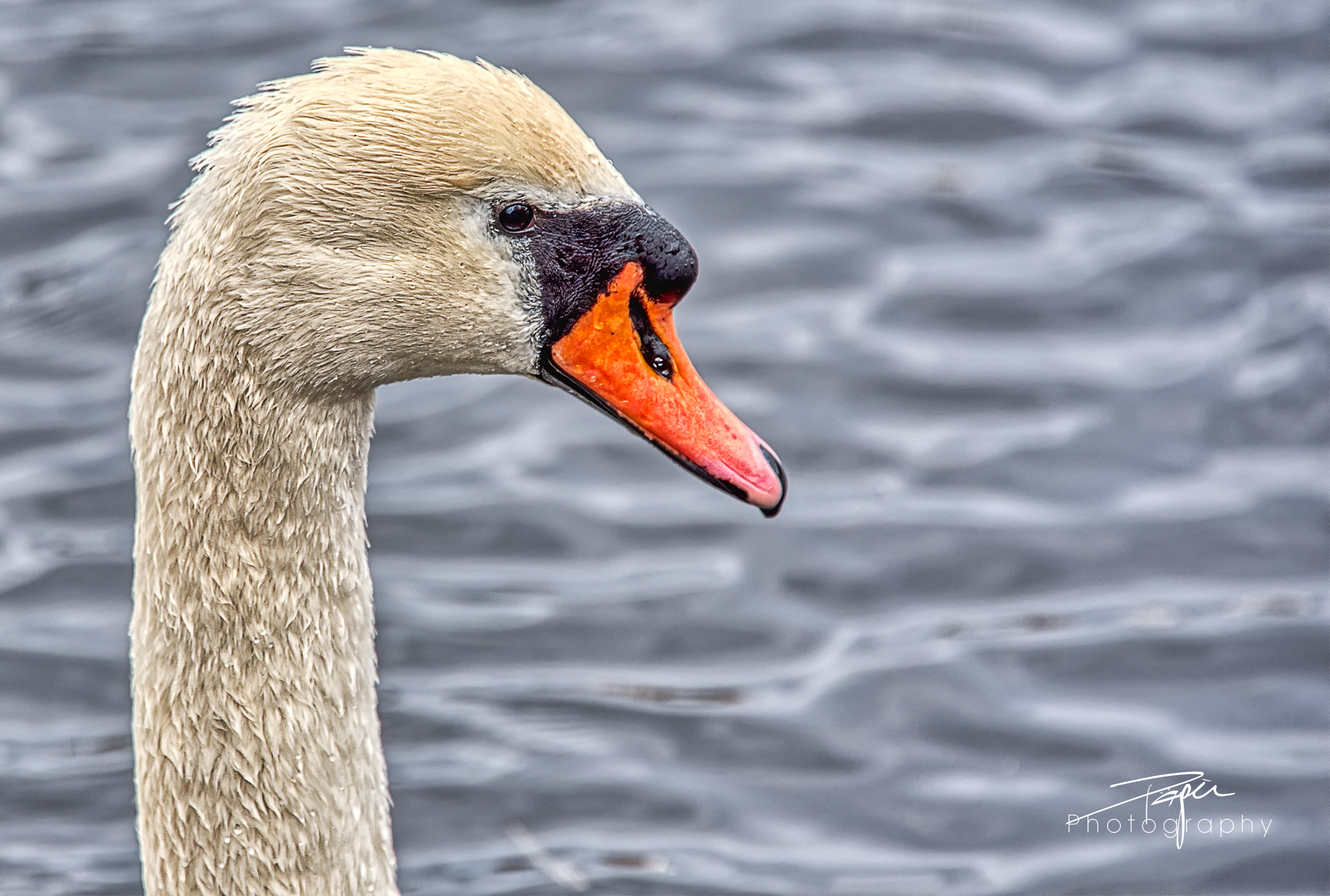 18.03.2021 - Portrait