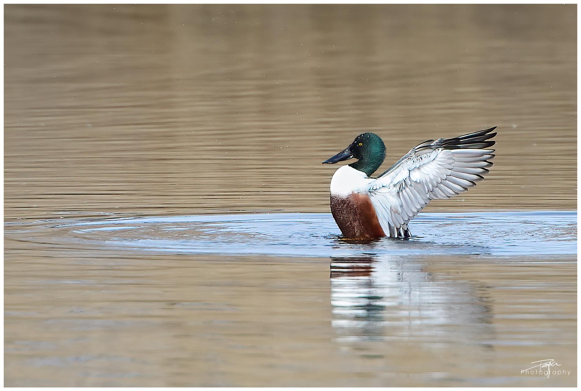 25.02.2022 - Düdinger-Moos