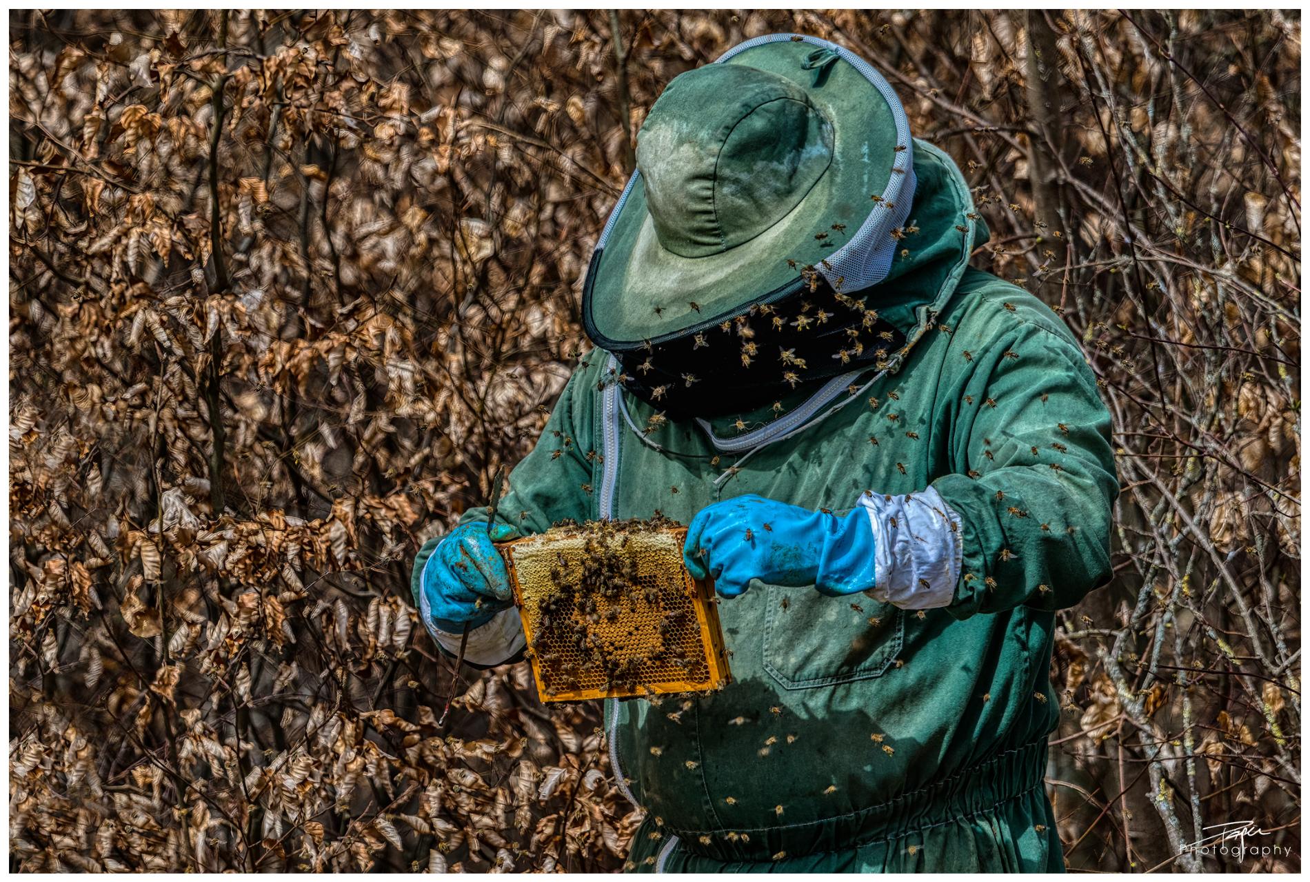 29.03.2022 -  Der Imker