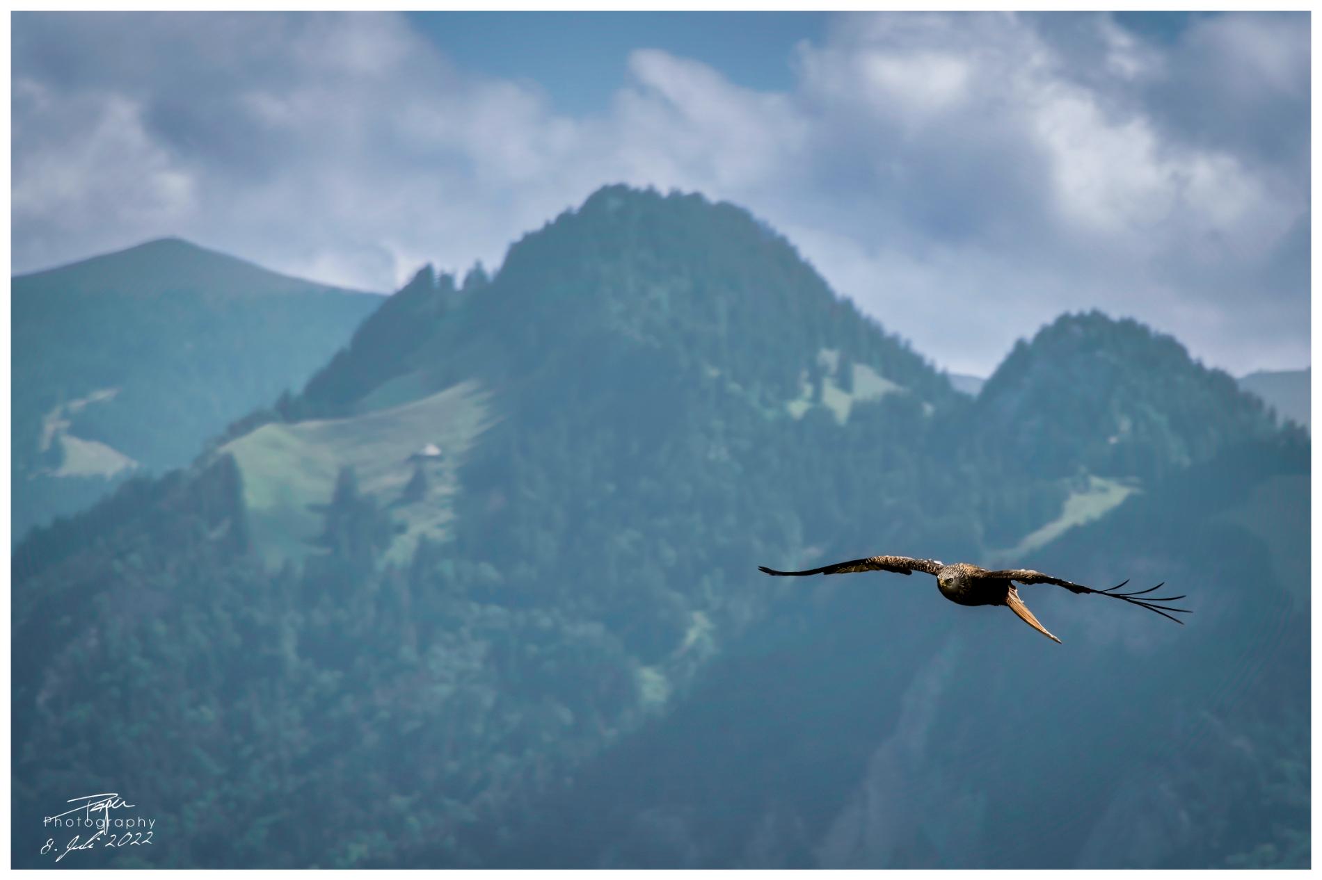 08.07.2022 - Plan-Francey