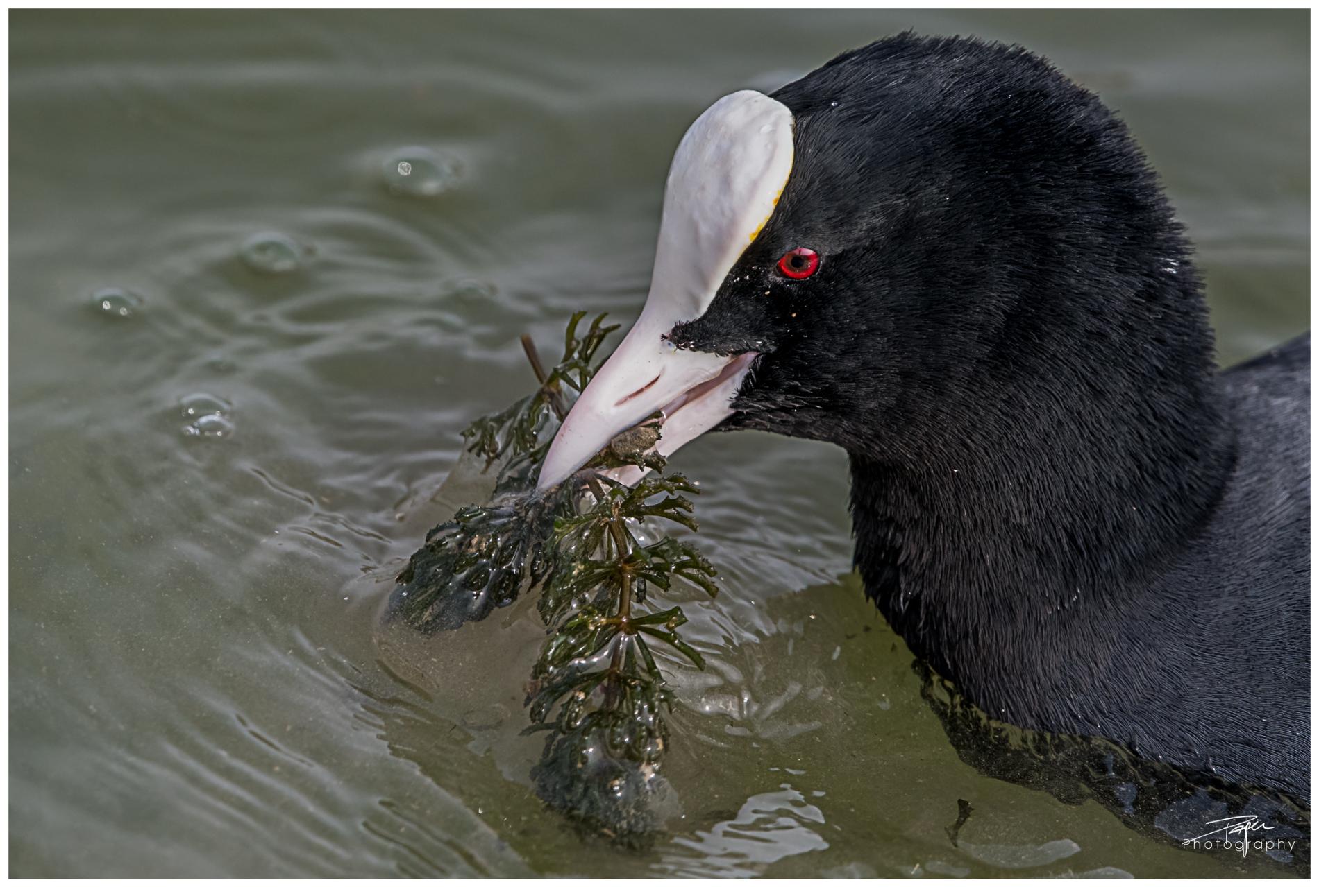 07.03.2022 - "Portraits"