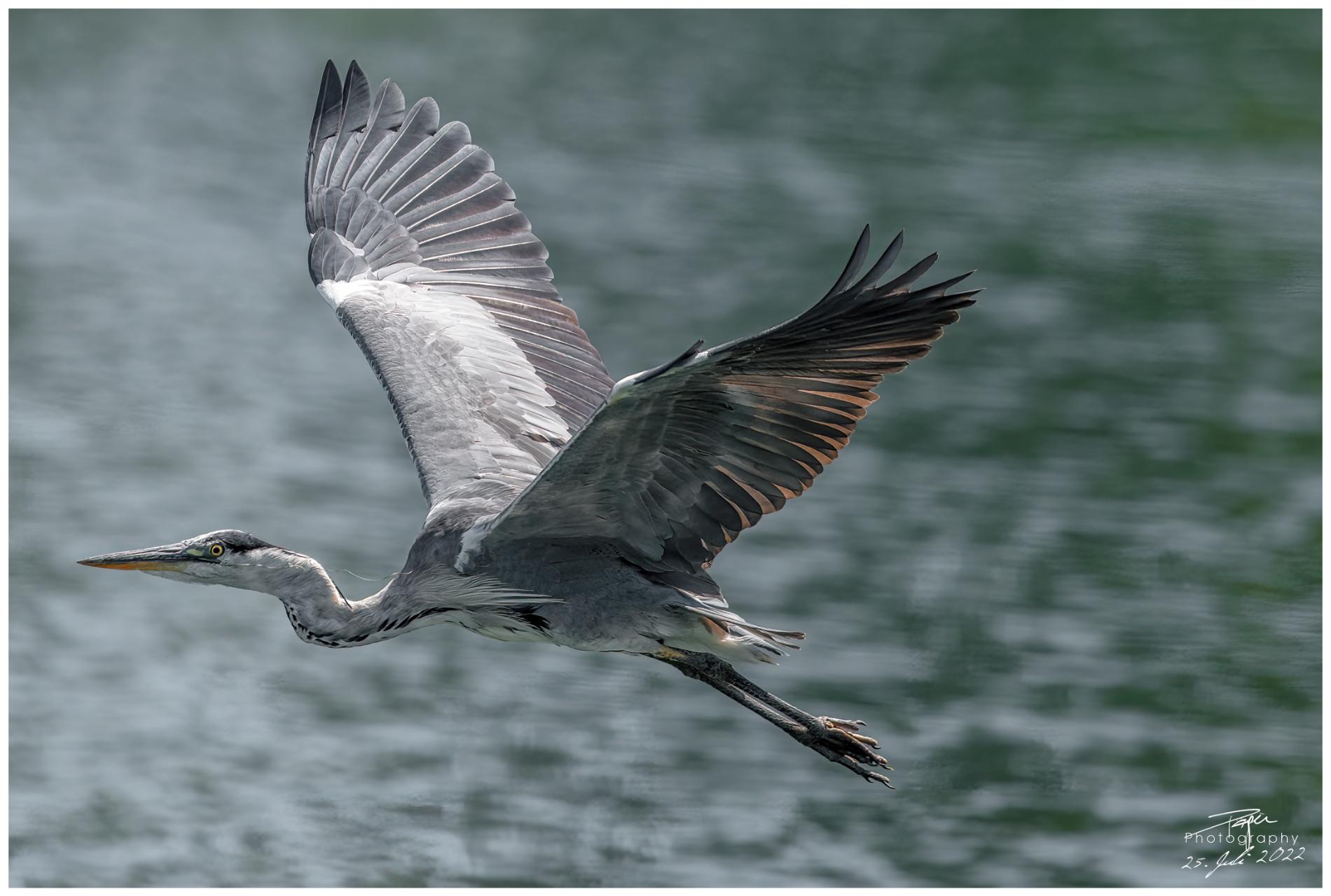 25.07.2022 - Broyekanal