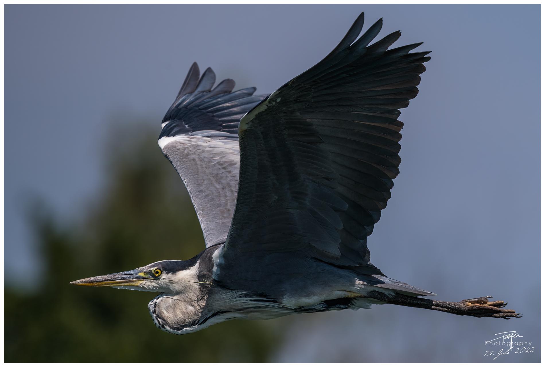 25.07.2022 - Broyekanal