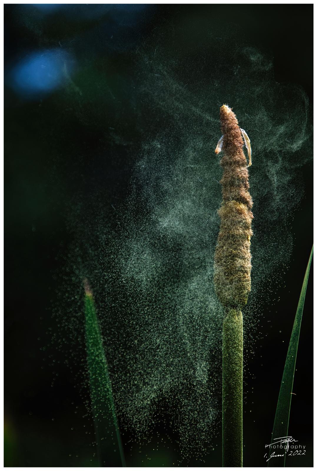  01.06.2022 - Düdinger-Moos