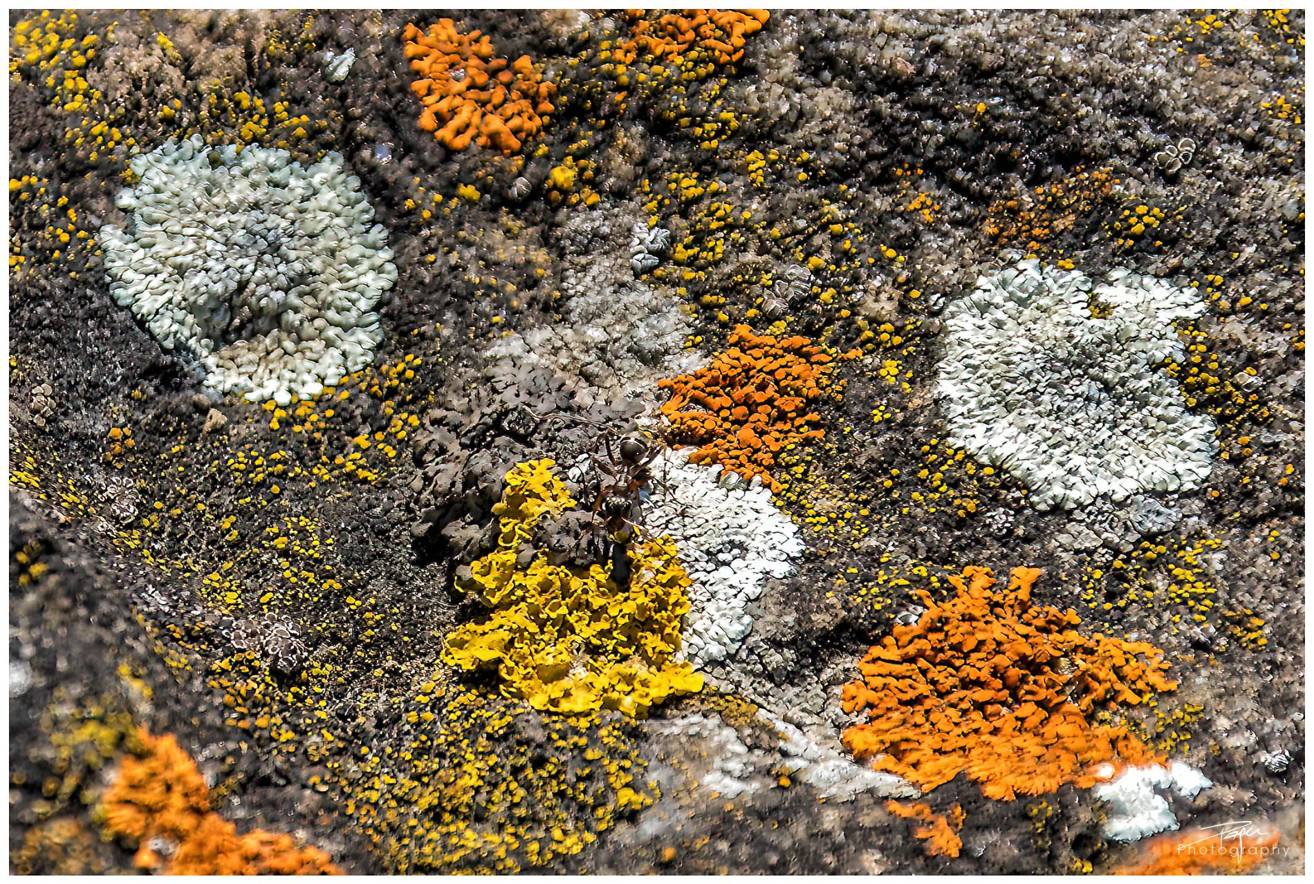  16.04.2022 - Frühling