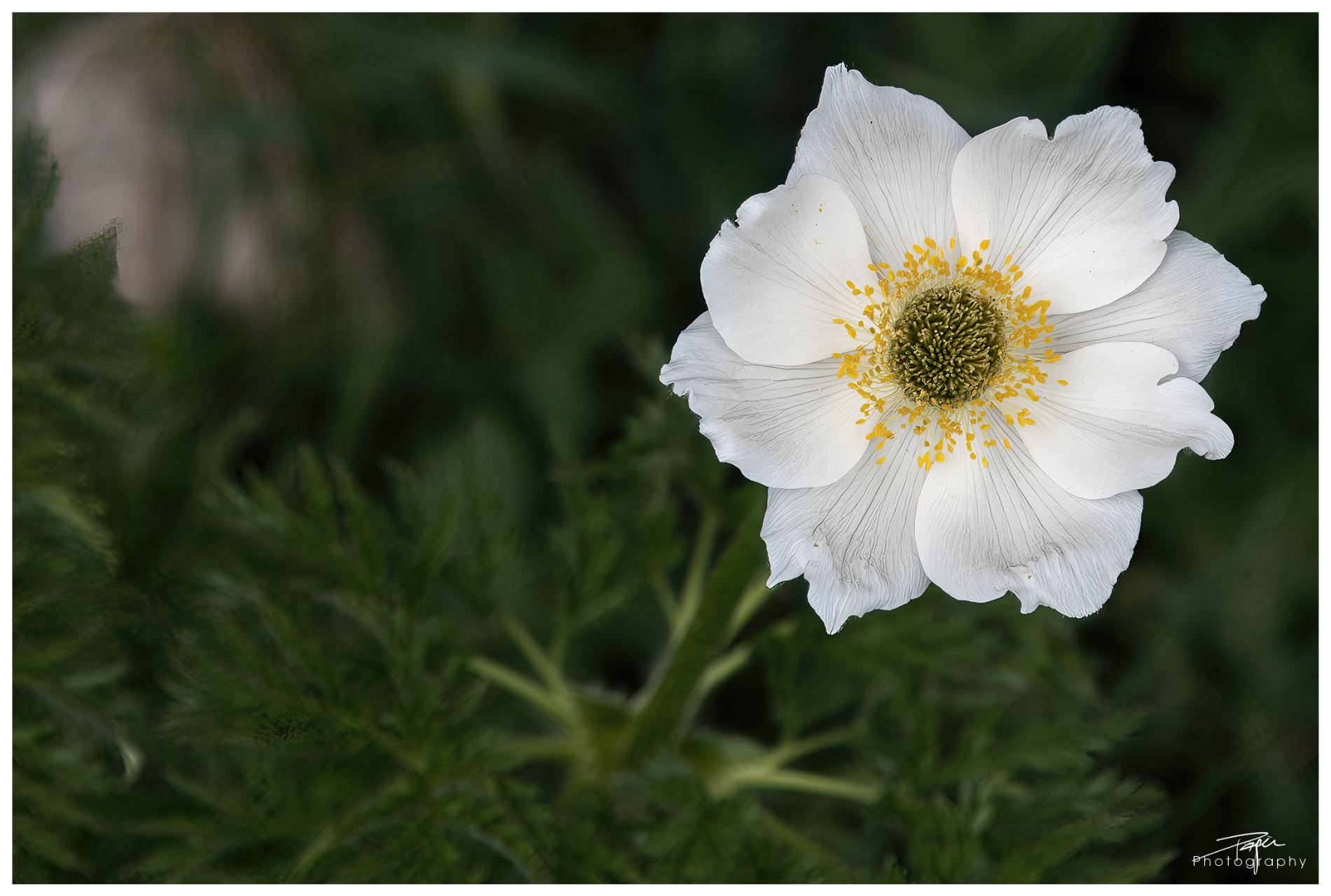  19.05.2022 - Frühling