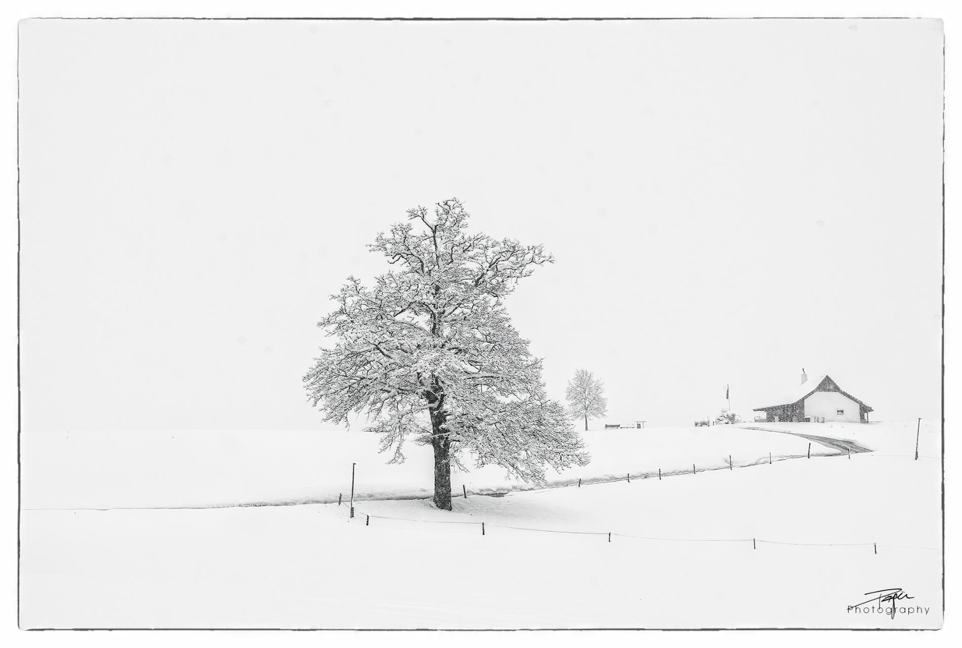 02.04.2022 - Düdingen, Rüti