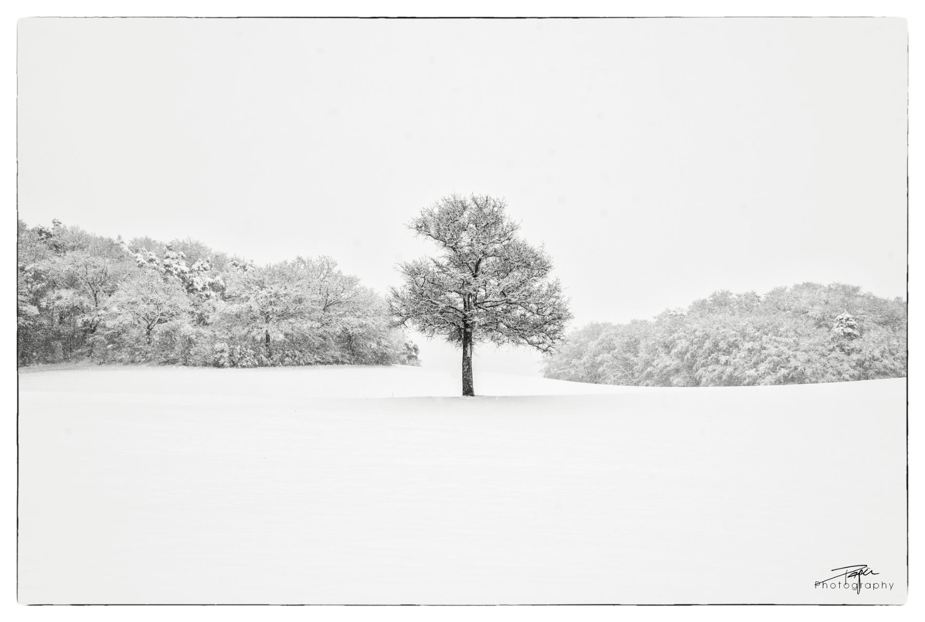 02.04.2022 - Düdingen, Rüti