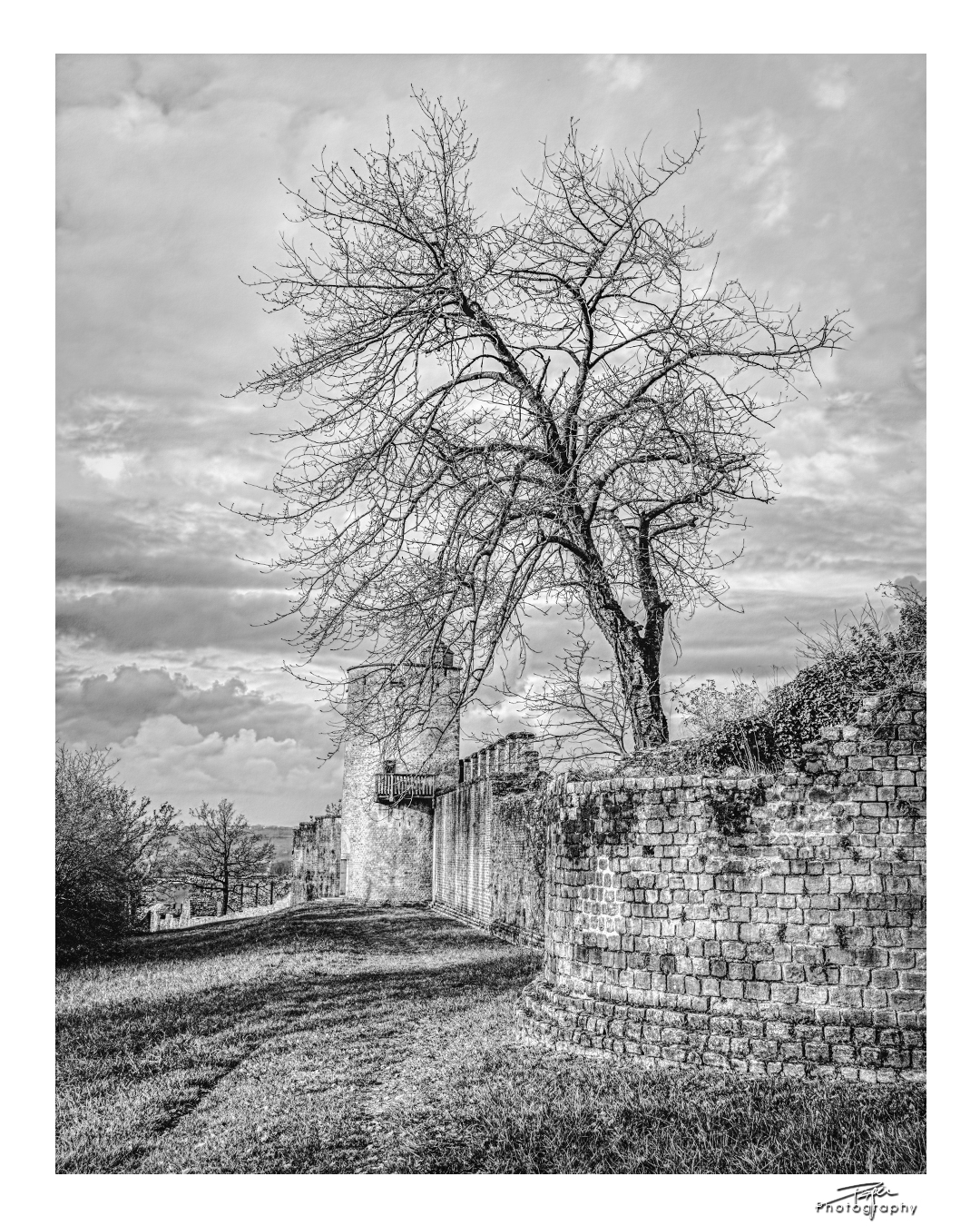 06.12.2022 - Avenches