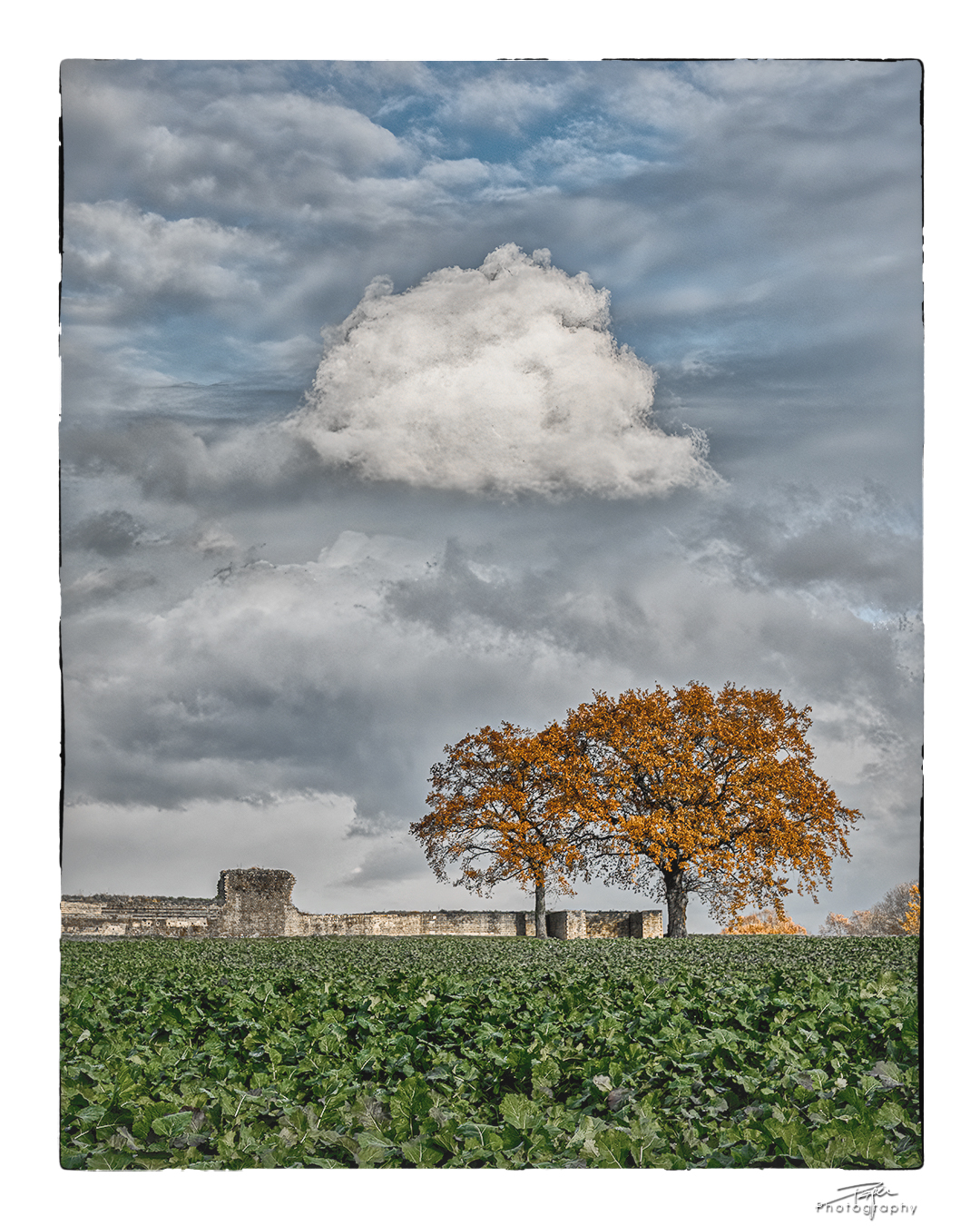 06.12.2022 - Avenches