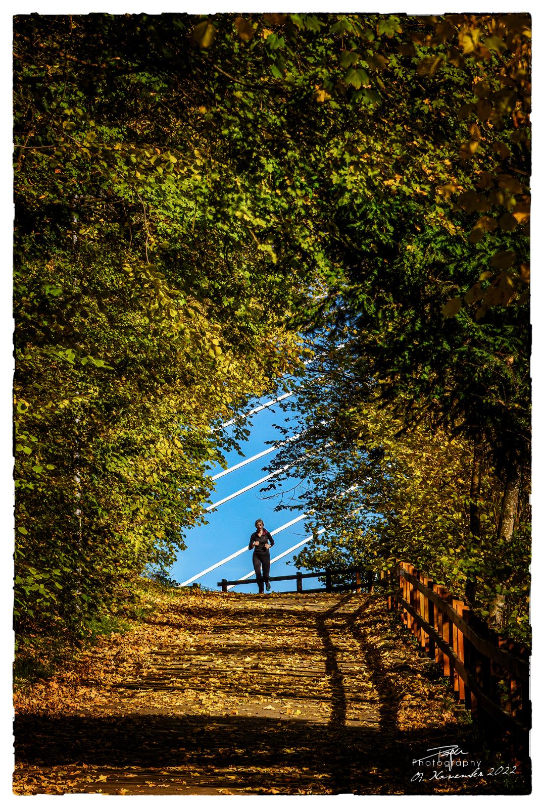 07.11.2022 - Herbstidylle