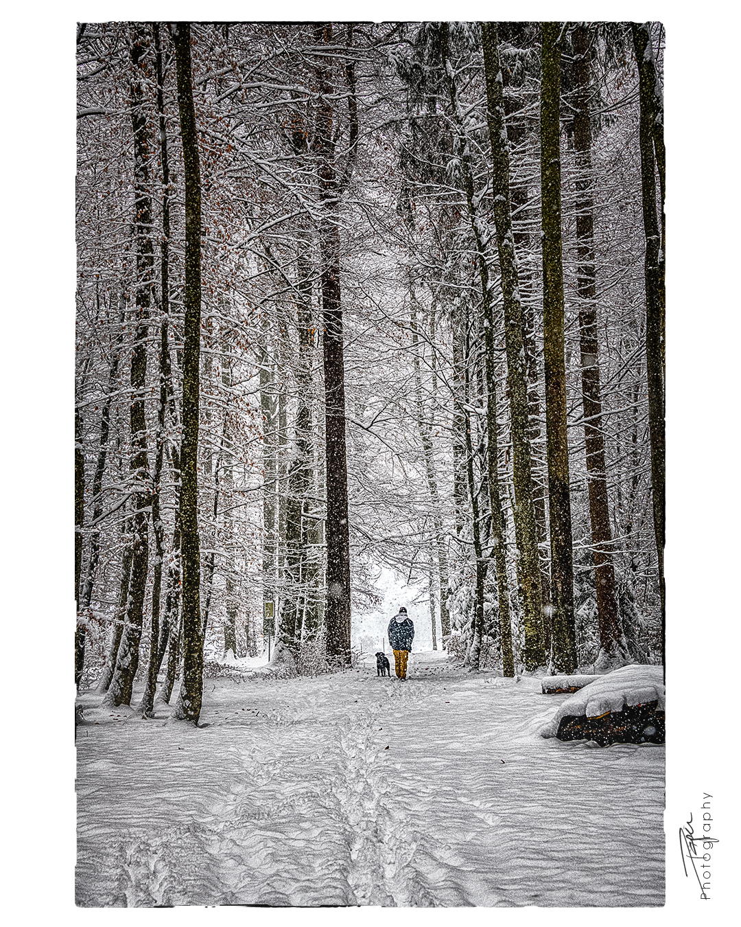 09.12.2022 - erster Schnee