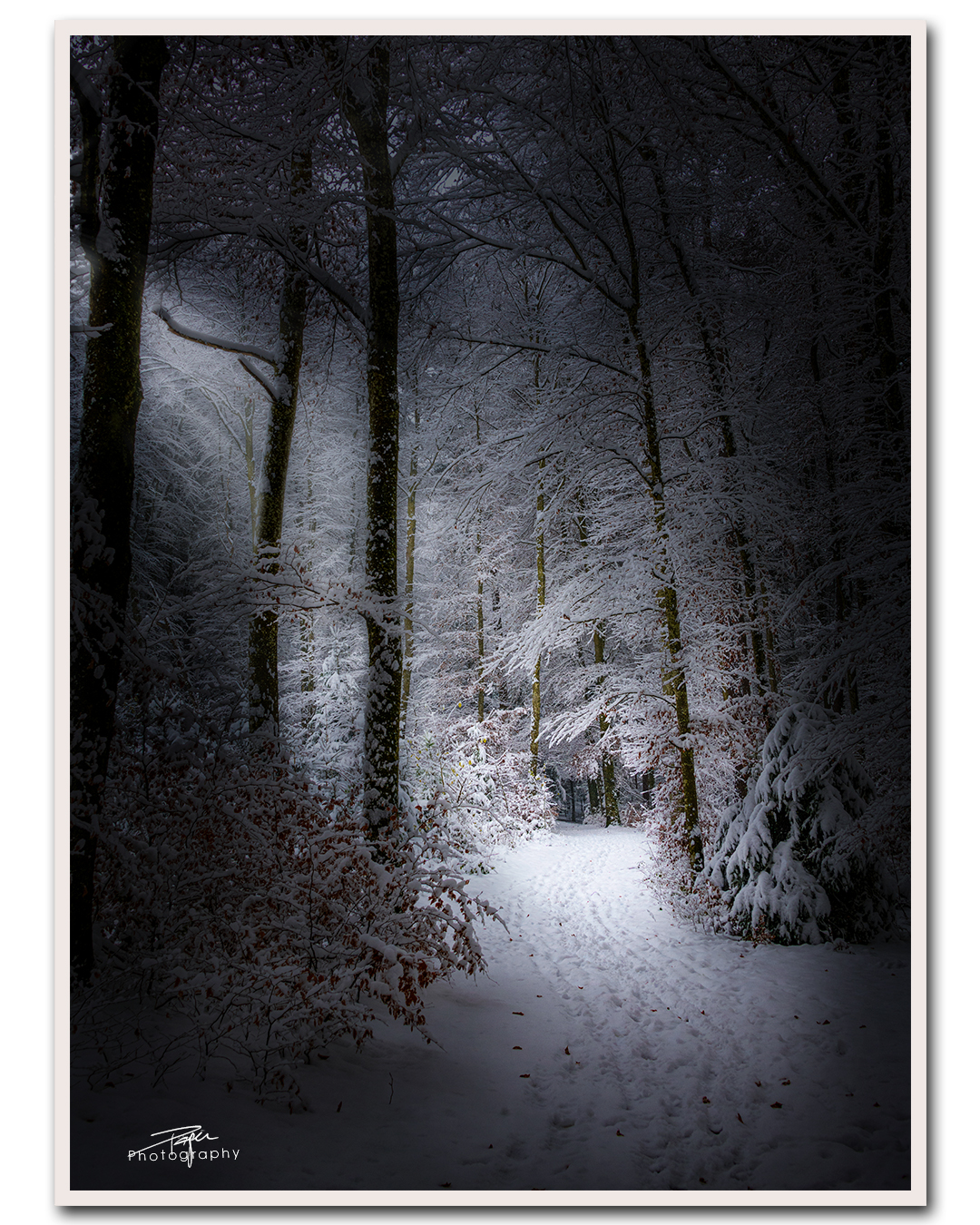 09.12.2022 - erster Schnee