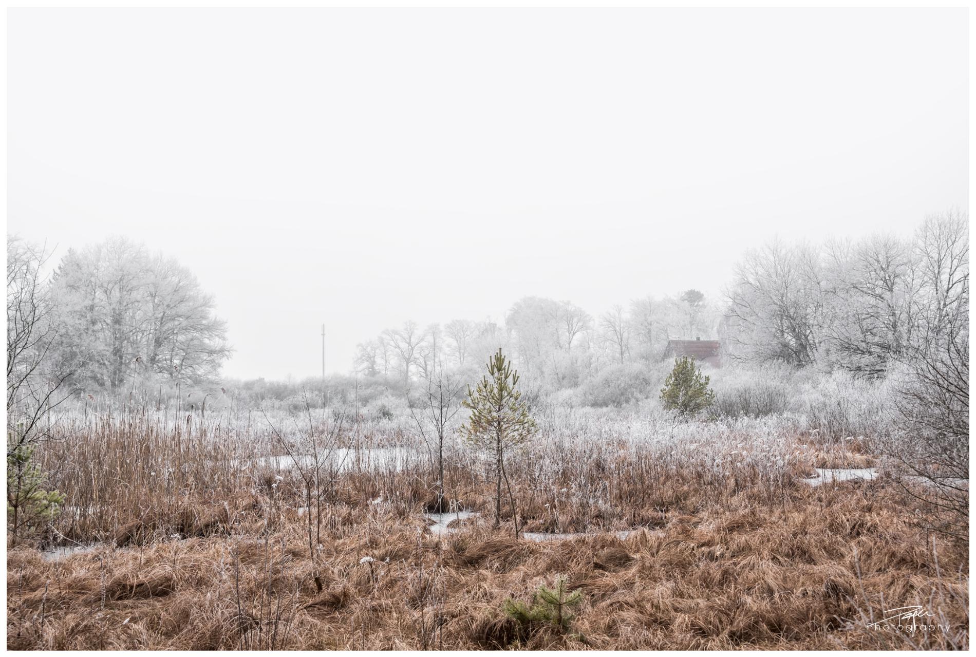26.01.2022- Düdinger-Tiefmoos