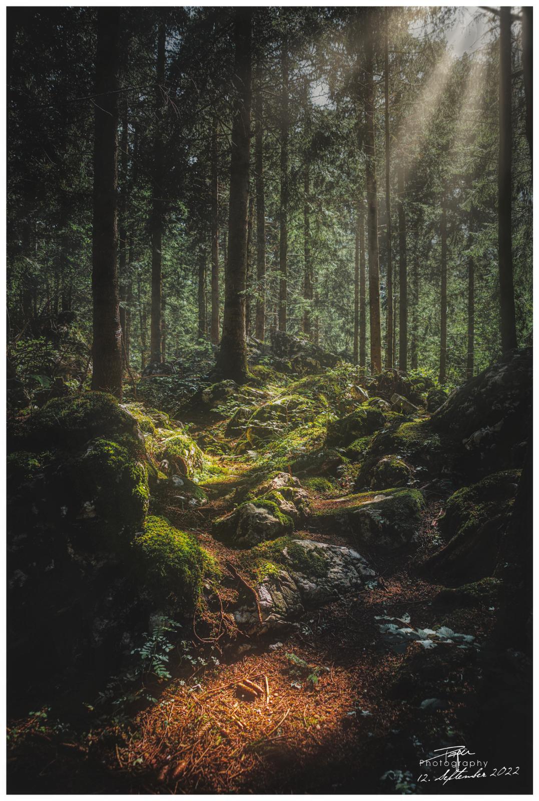 12.09.2022 - Kleiner Märchenwald