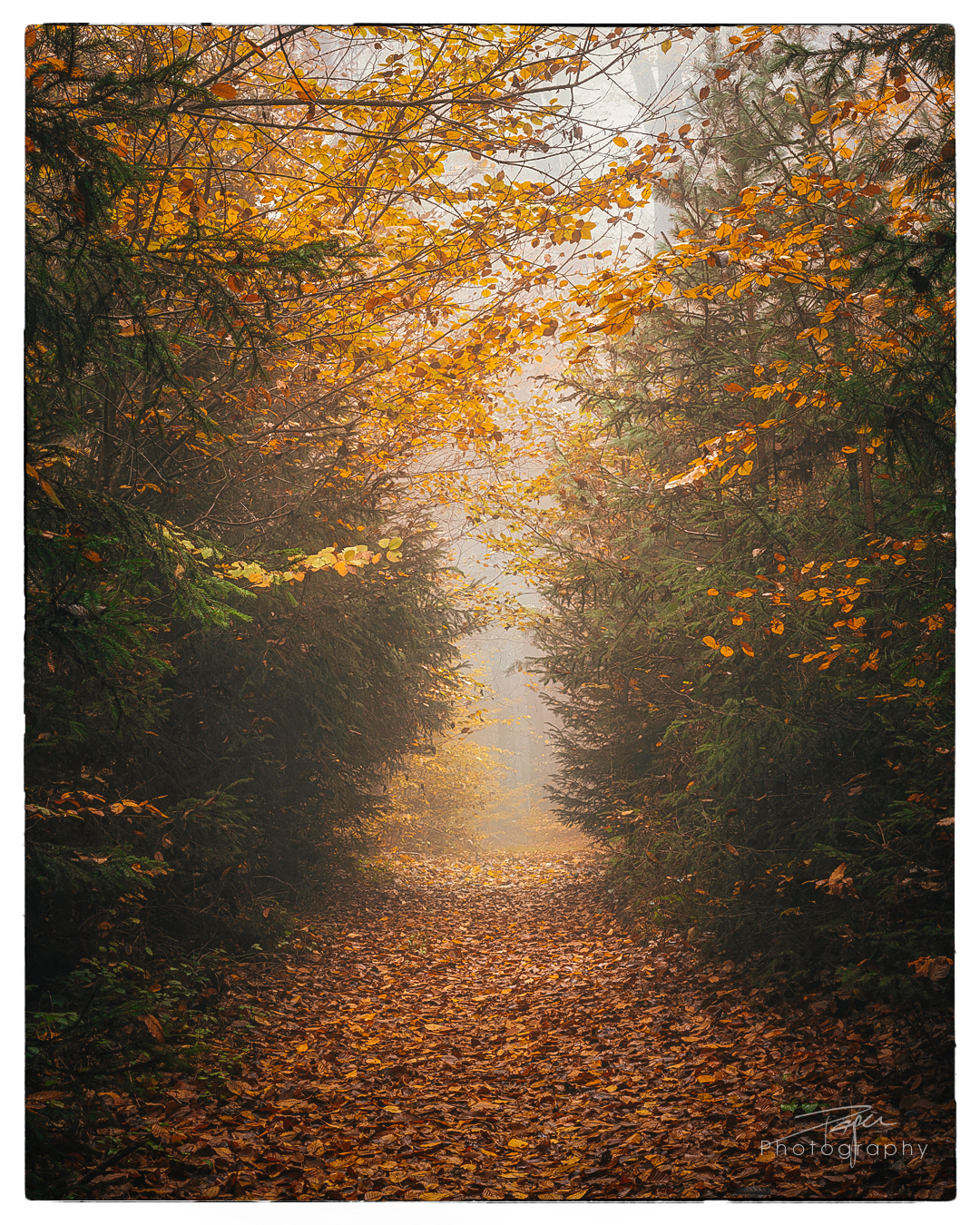 12.11.2022 - Spätherbst