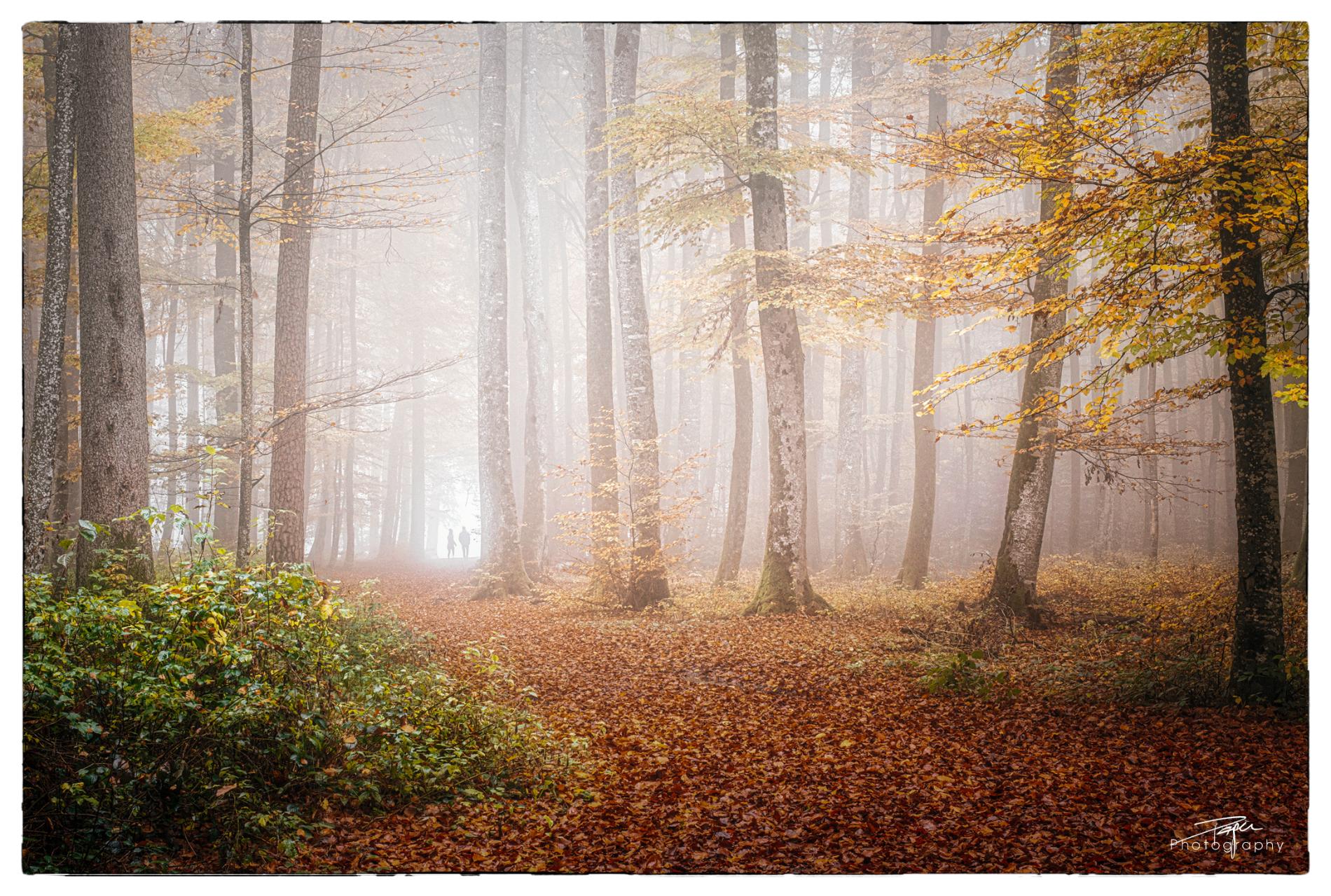 12.11.2022 - Spätherbst