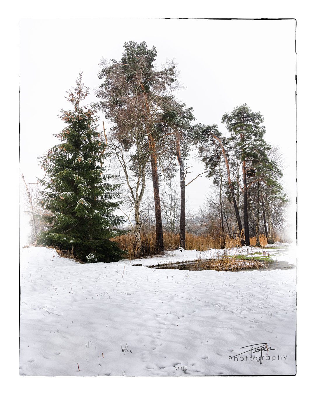 16.12.2022 - Düdinger-Moos