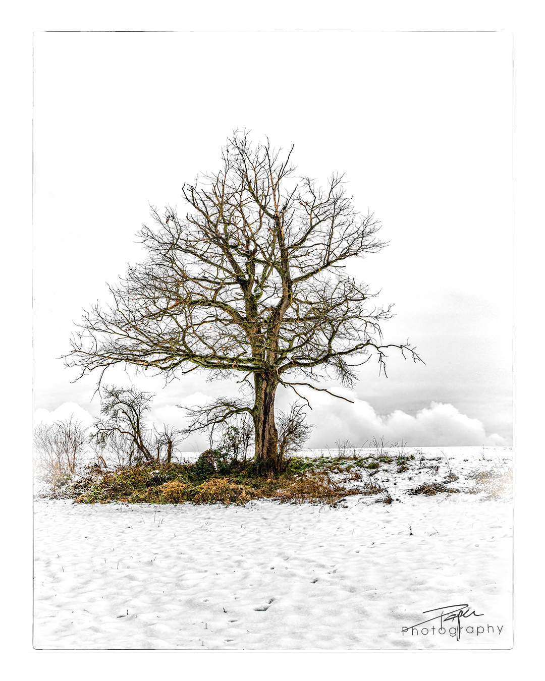 16.12.2022 - Düdinger-Moos