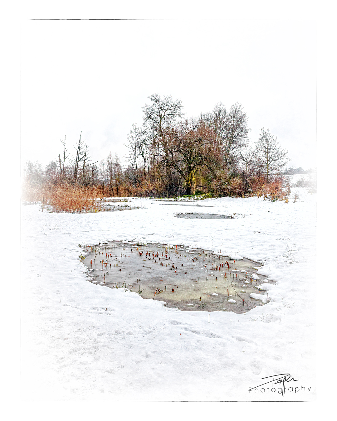 16.12.2022 - Düdinger-Moos