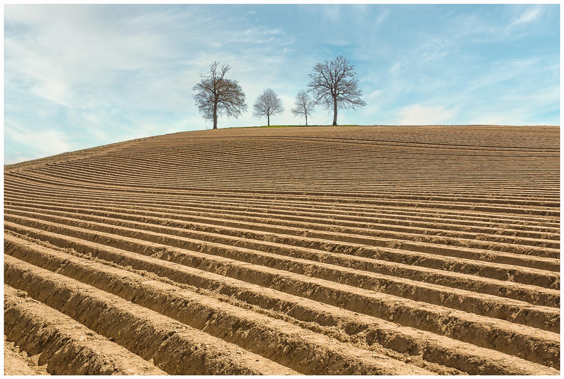 18.04.2022 - Düdingen, Menziwil