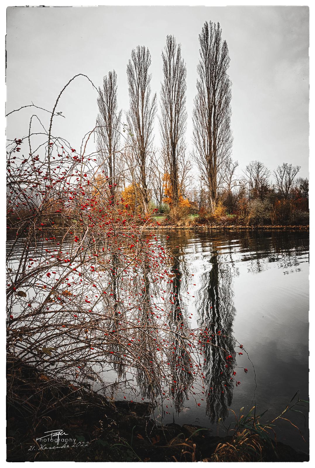 21.11.2022 - Spätherbst