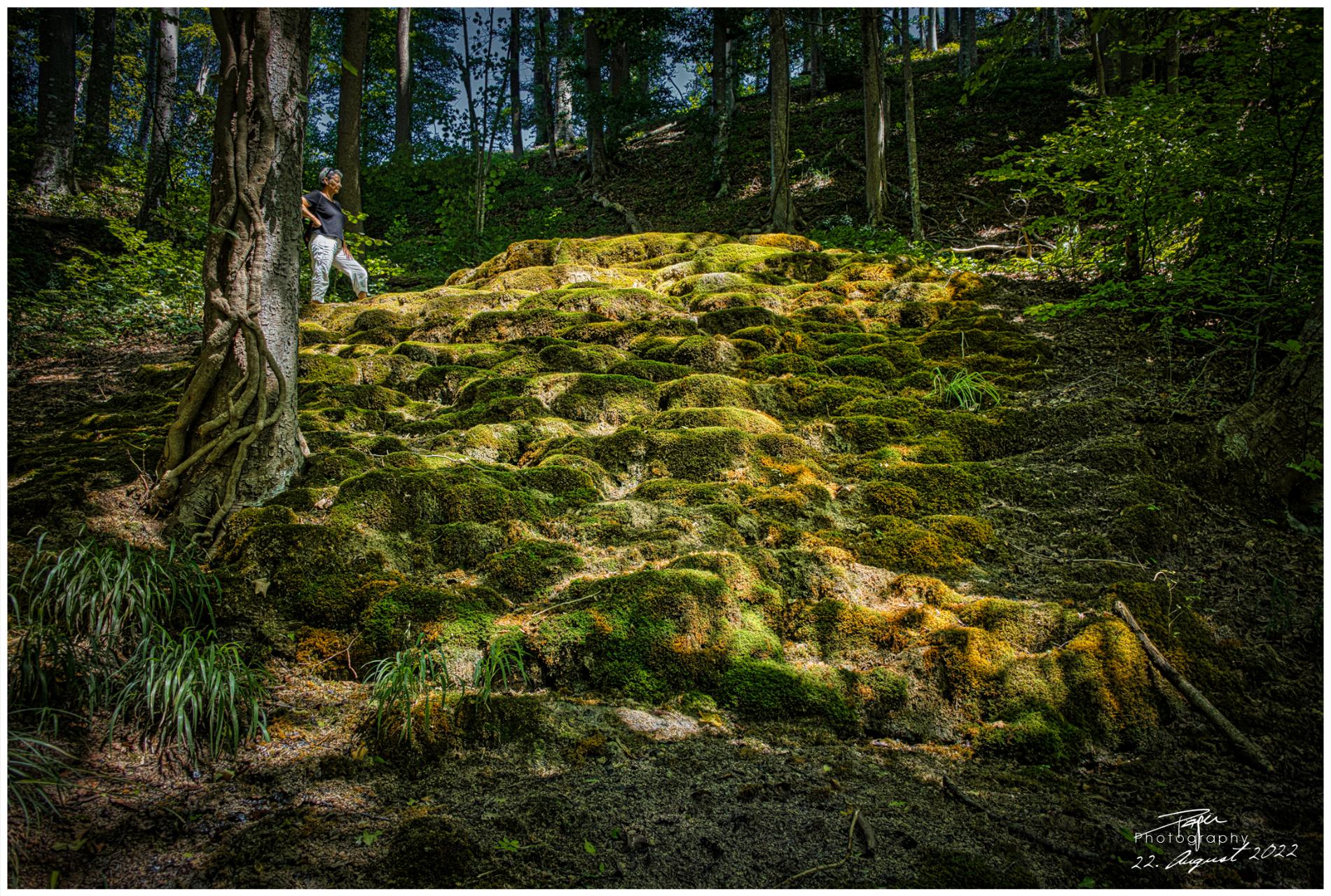 22.08.2022 - Wasserterrassen