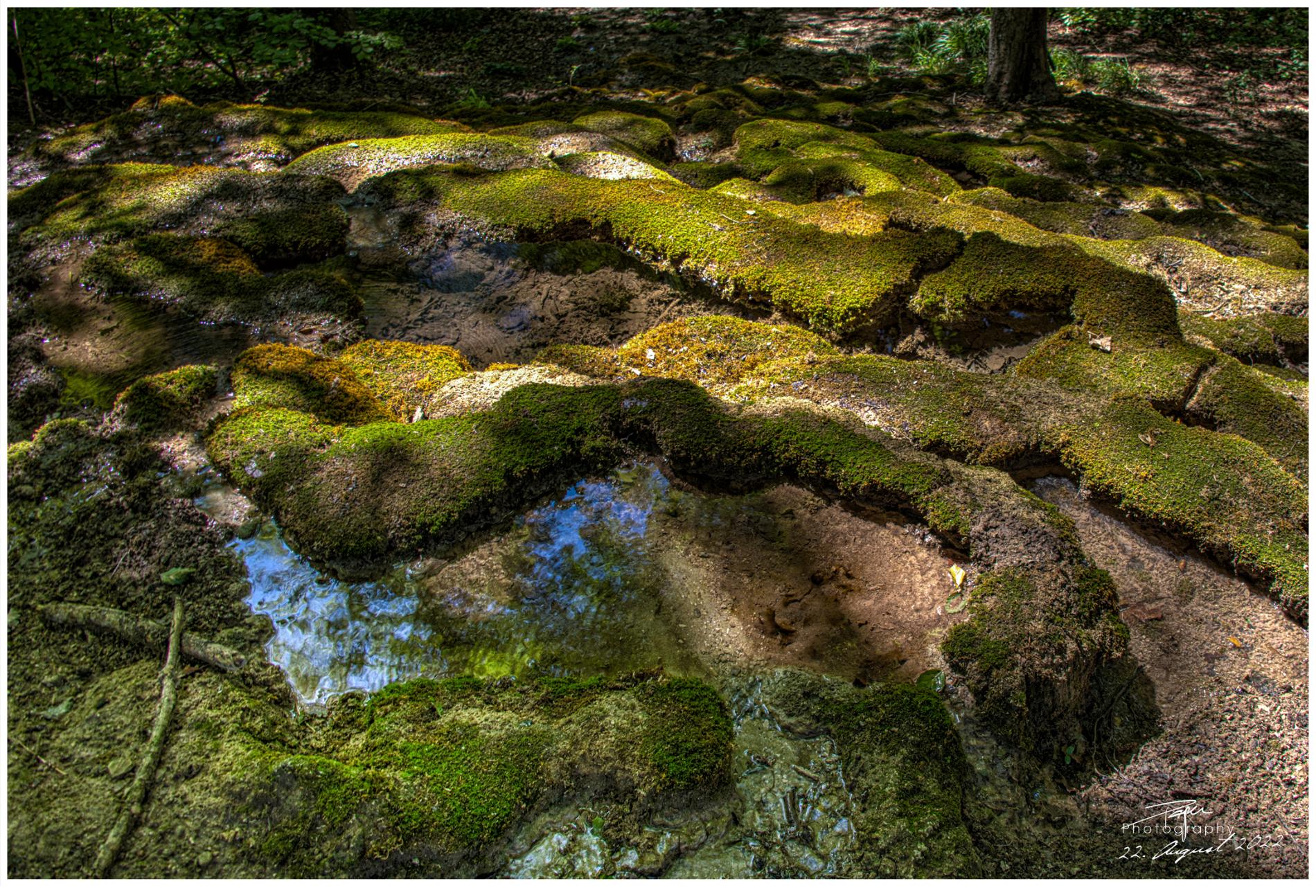 22.08.2022 - Wasserterrassen