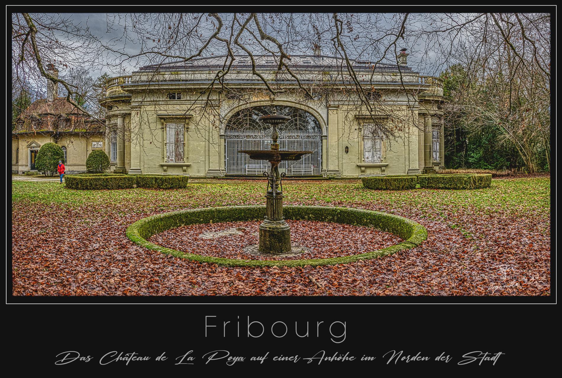 27.12.2022 - Fribourg