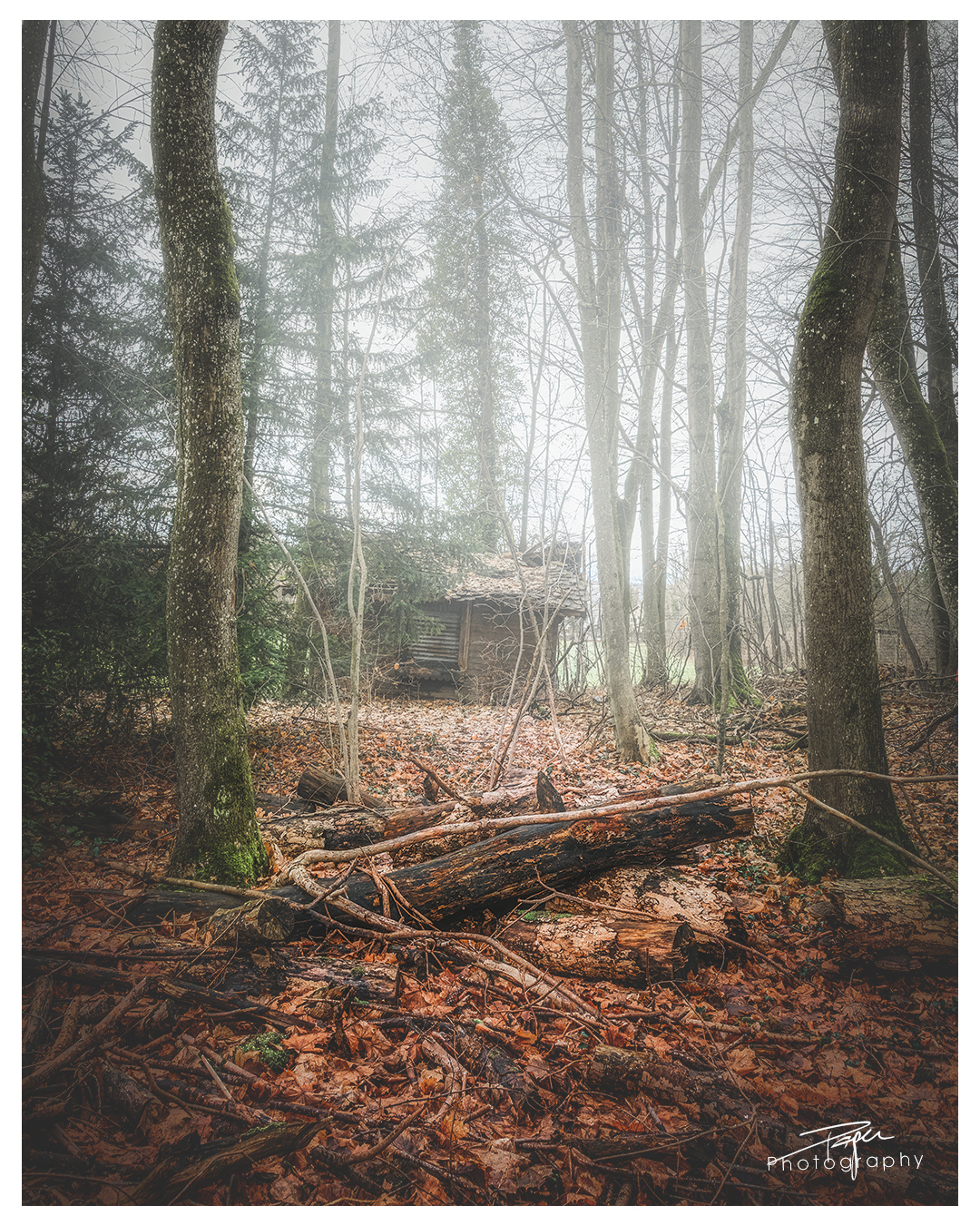 27.12.2022 - Fribourg