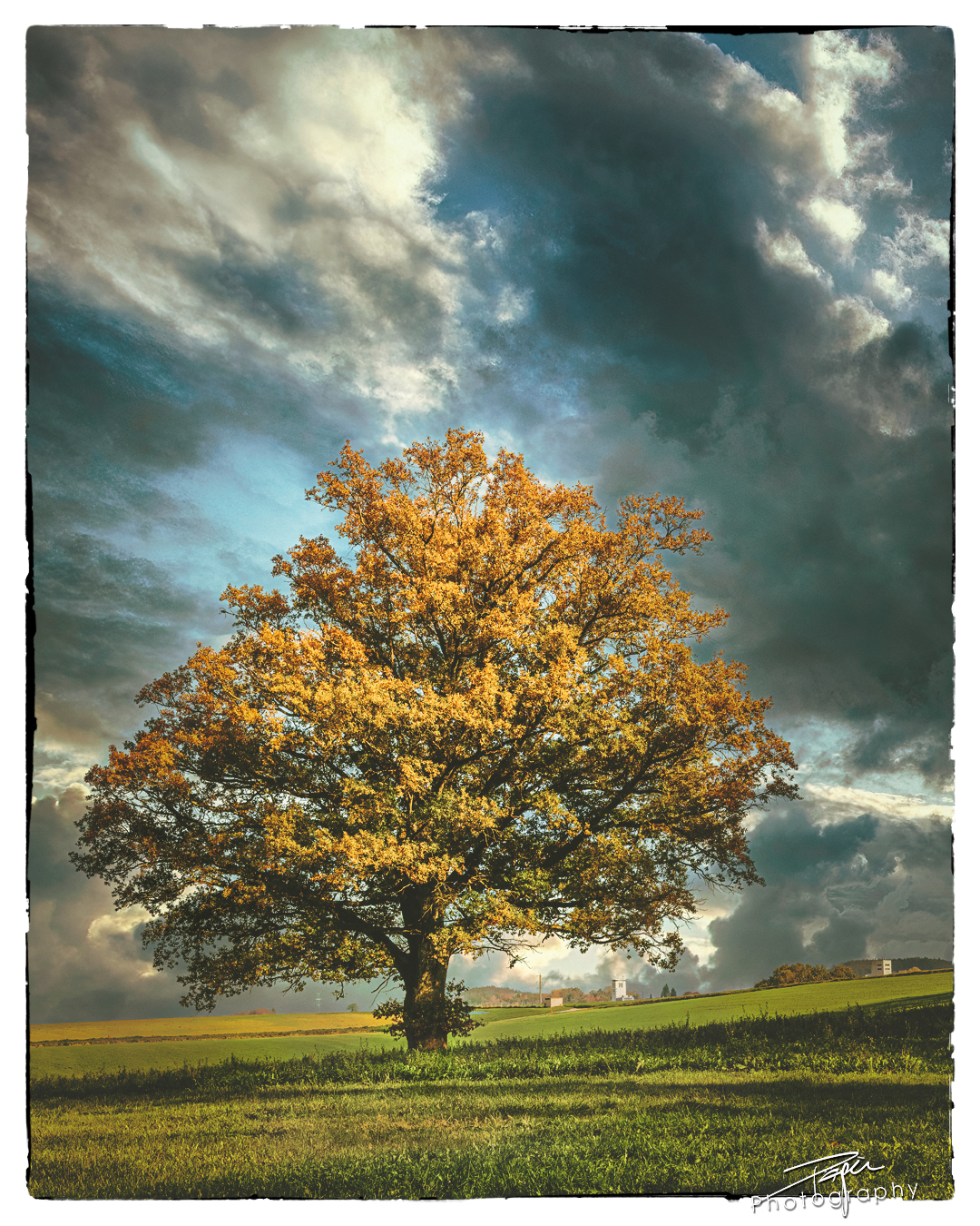 30.10.2022 - Fine-art photography