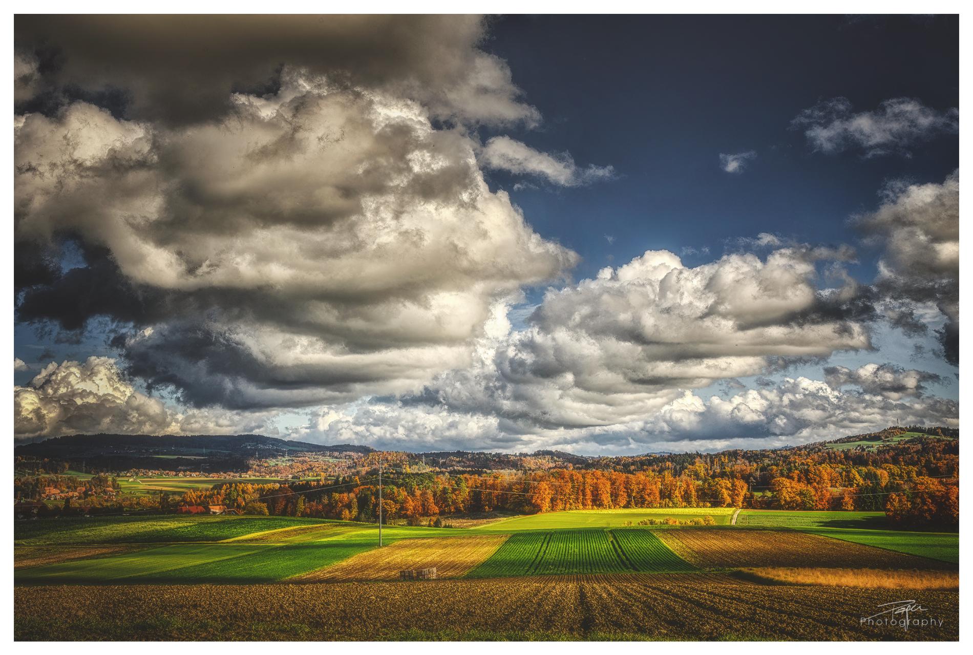 17.11.2022 - Spätherbst