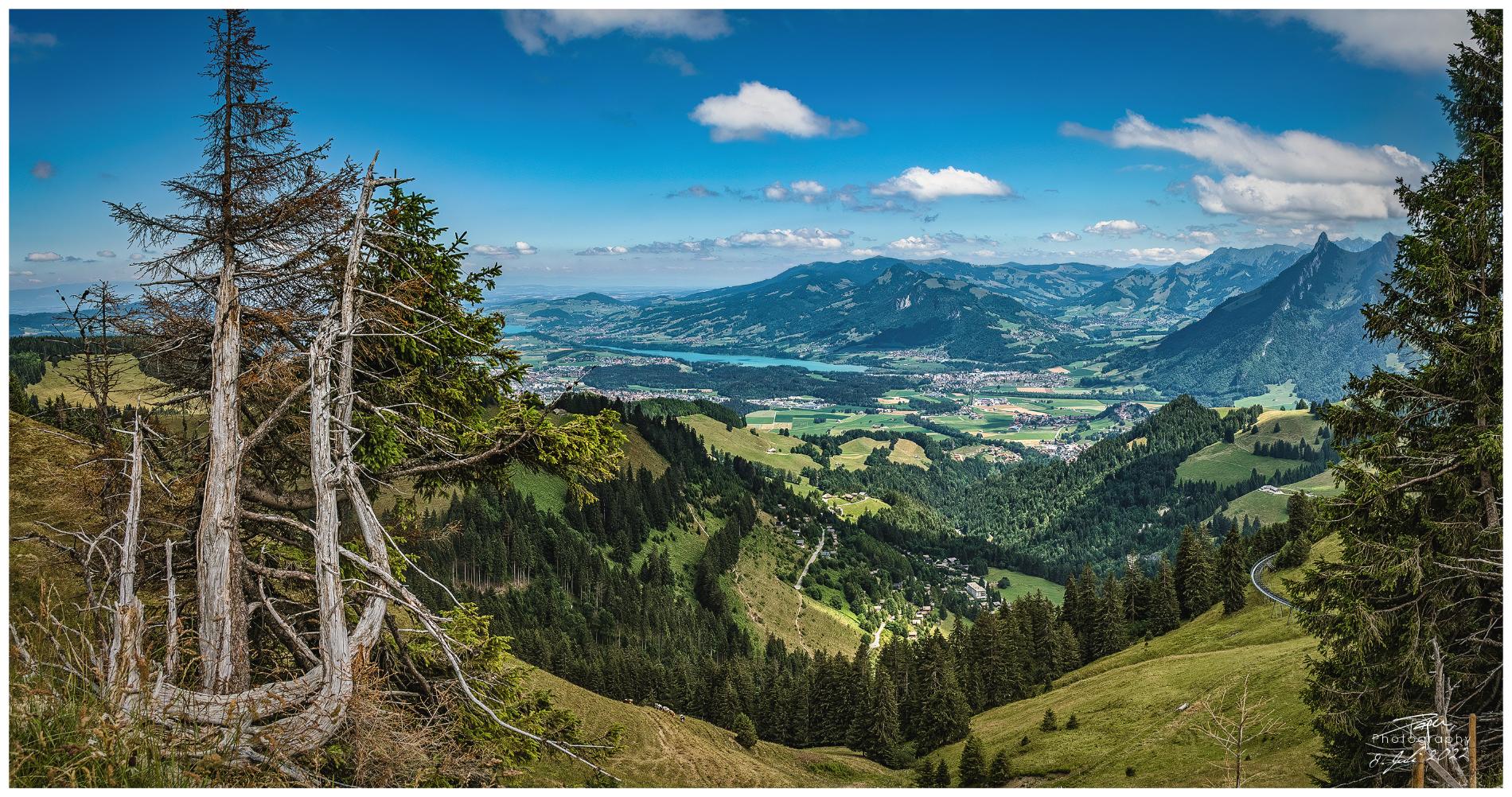 08.07.2022 - Plan-Francey