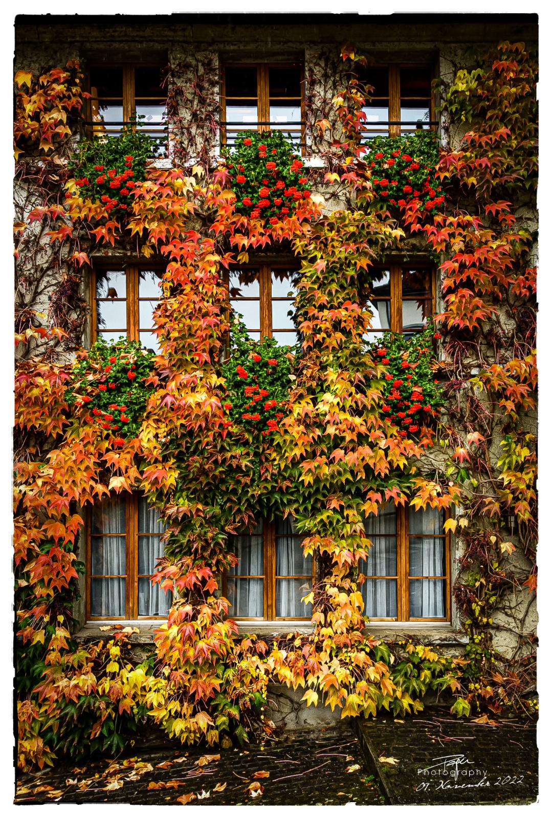 09.11.2022 - Basse-Ville