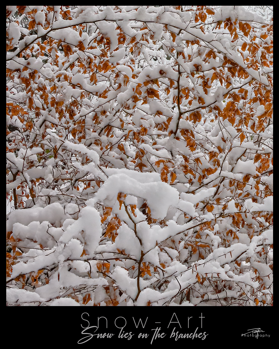 10.12.2022 - Snow-Art