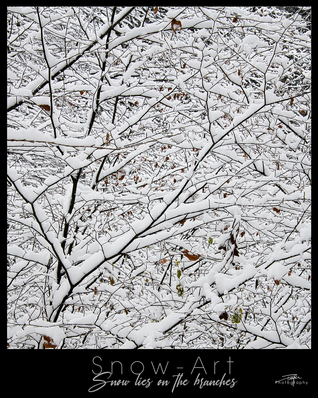 10.12.2022 - Snow-Art