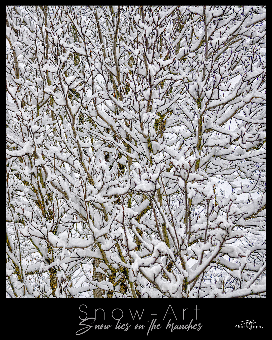 10.12.2022 - Snow-Art