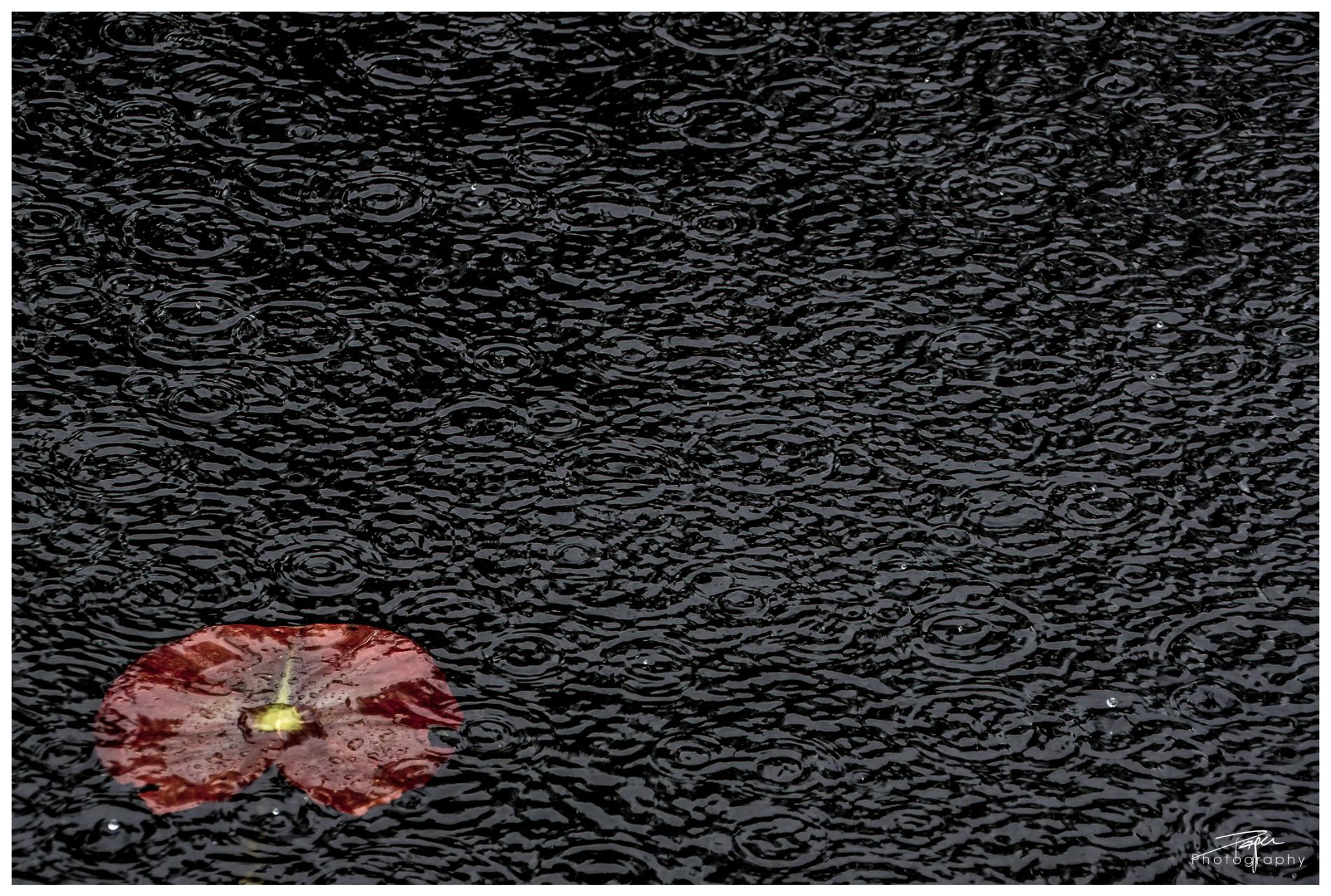 25.04.2022 - Düdinger-Moos